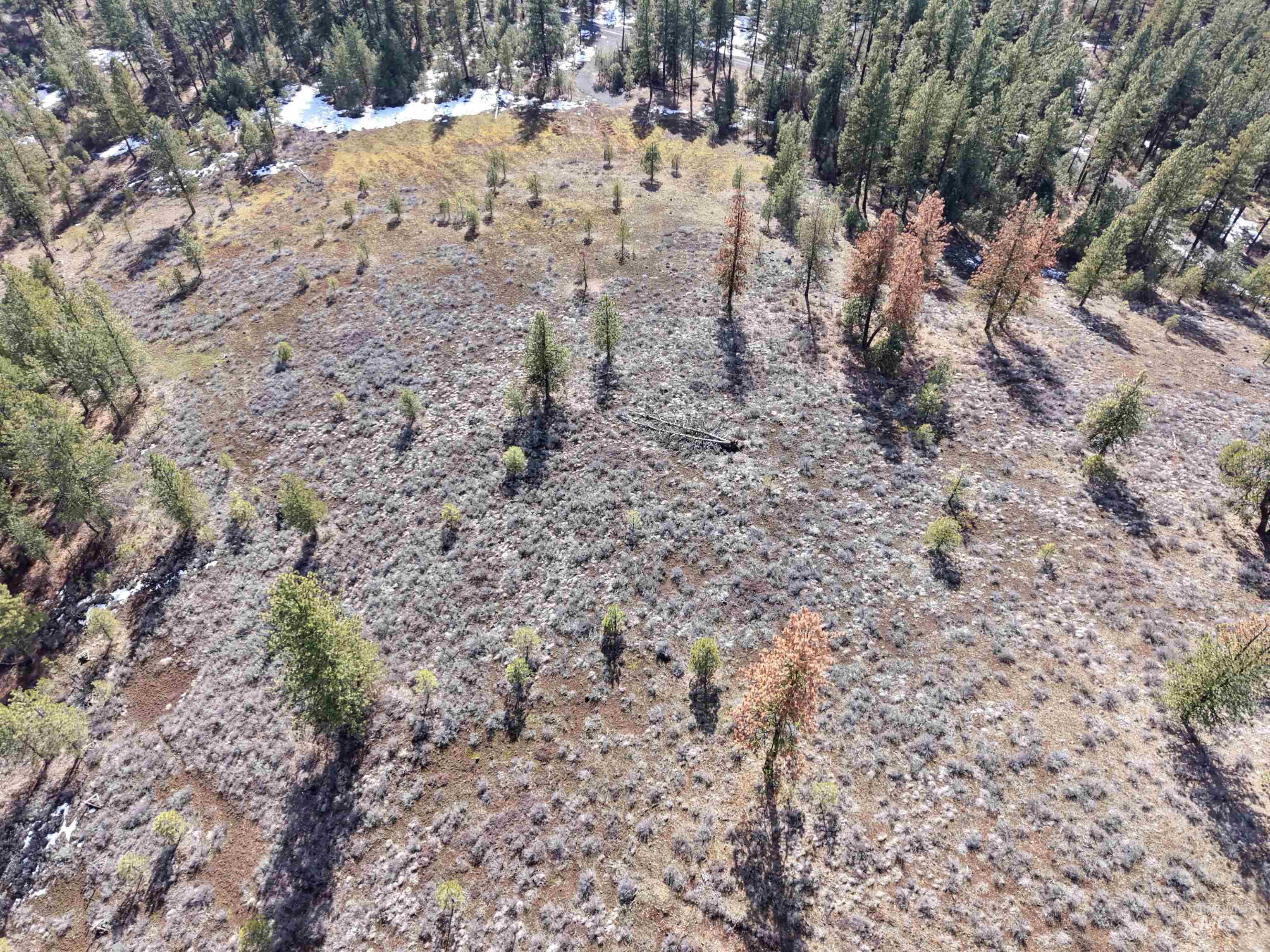 Lot 6 Bloc Van Dorn Estates, New Meadows, Idaho 83654, Land For Sale, Price $185,000, 98976774