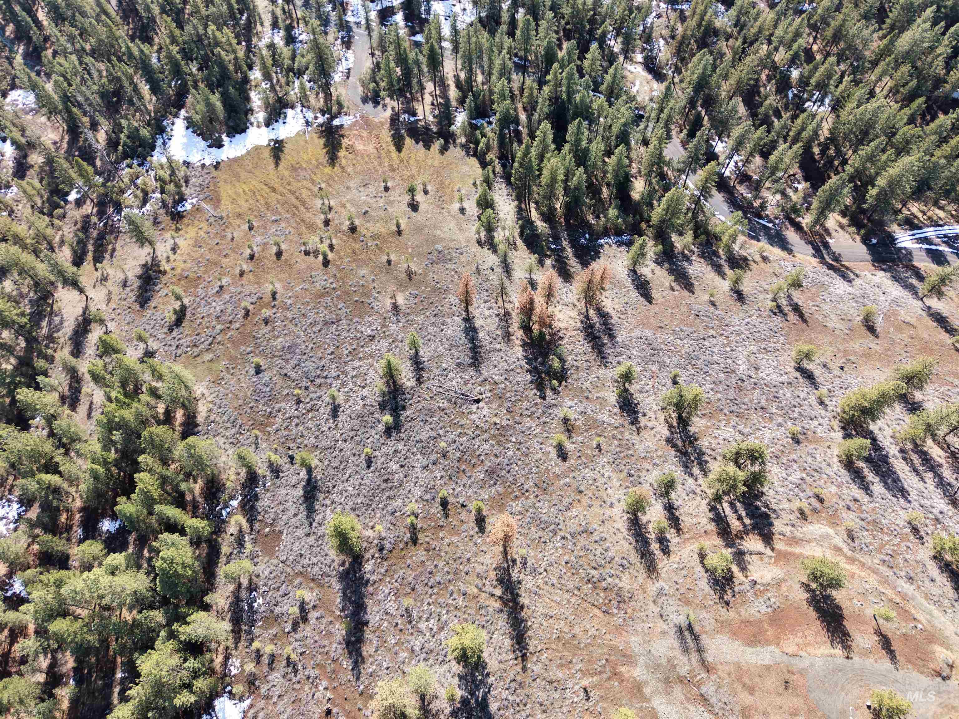 Lot 6 Bloc Van Dorn Estates, New Meadows, Idaho 83654, Land For Sale, Price $185,000, 98976774