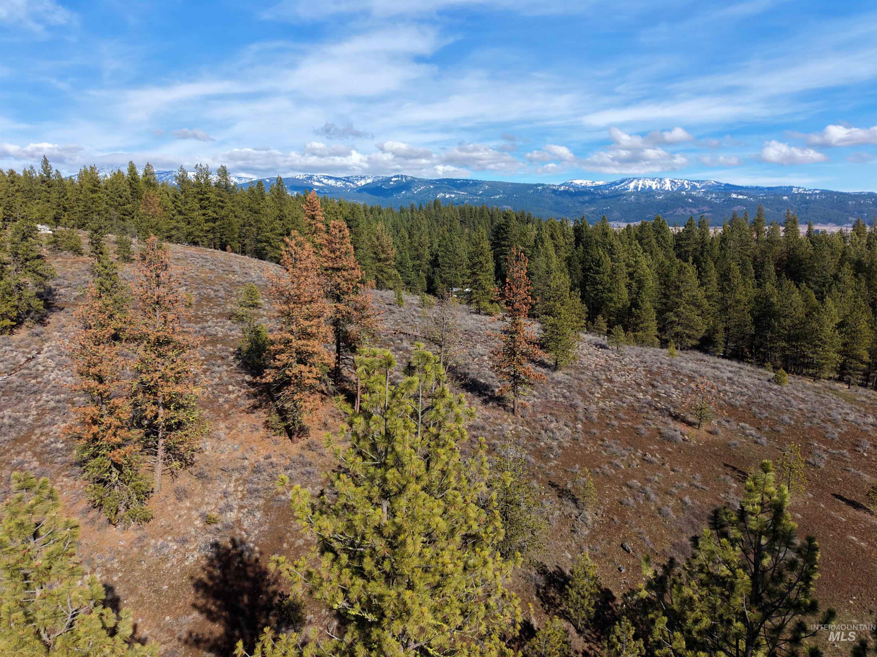 Lot 6 Bloc Van Dorn Estates, New Meadows, Idaho 83654, Land For Sale, Price $185,000, 98976774