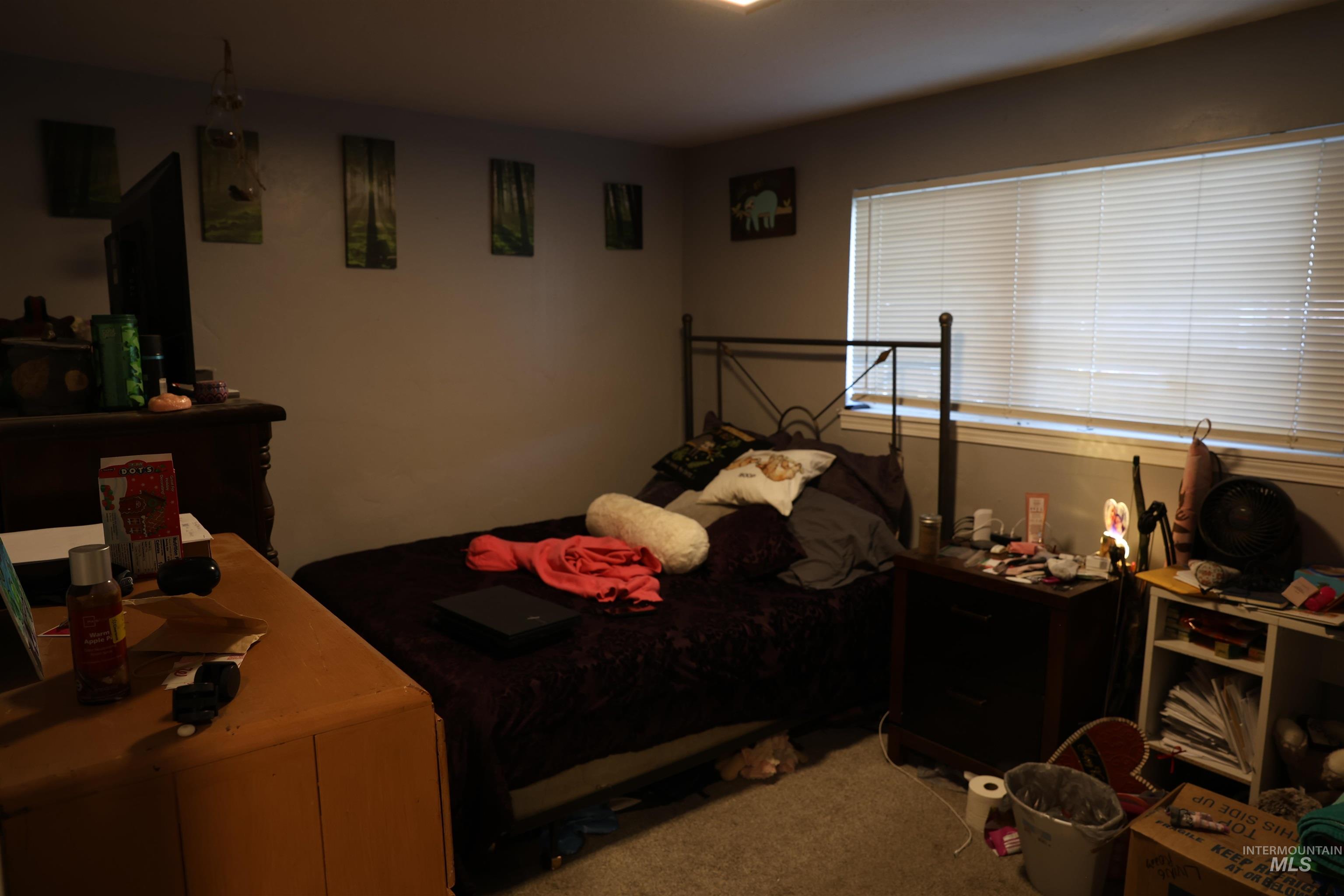 613 S White Cloud Dr, Boise, Idaho 83709, 2 Bedrooms, 1 Bathroom, Residential Income For Sale, Price $899,999,MLS 98976803