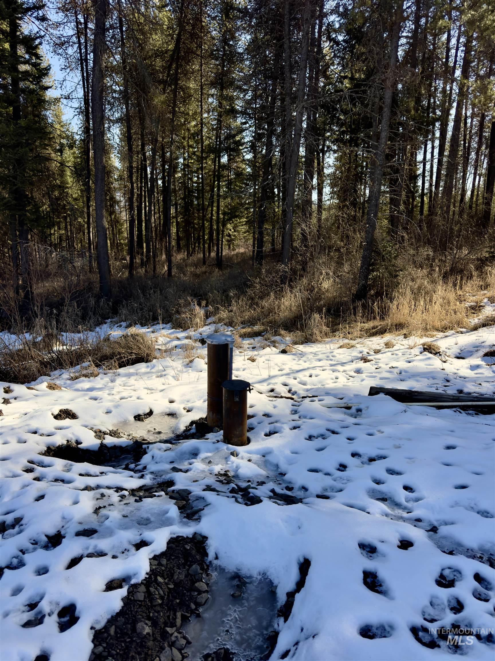 1112 Old Park Rd, Helmer, Idaho 83823, 1 Bedroom, 1 Bathroom, Residential For Sale, Price $319,900,MLS 98976808