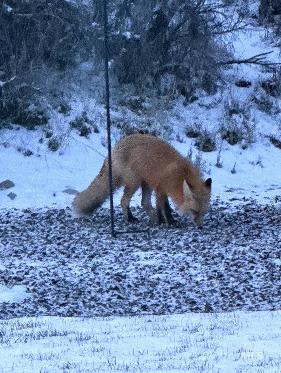 5555 W Dalcross Drive, Boise, Idaho 83714, 3 Bedrooms, 3 Bathrooms, Residential For Sale, Price $675,000, 98976820