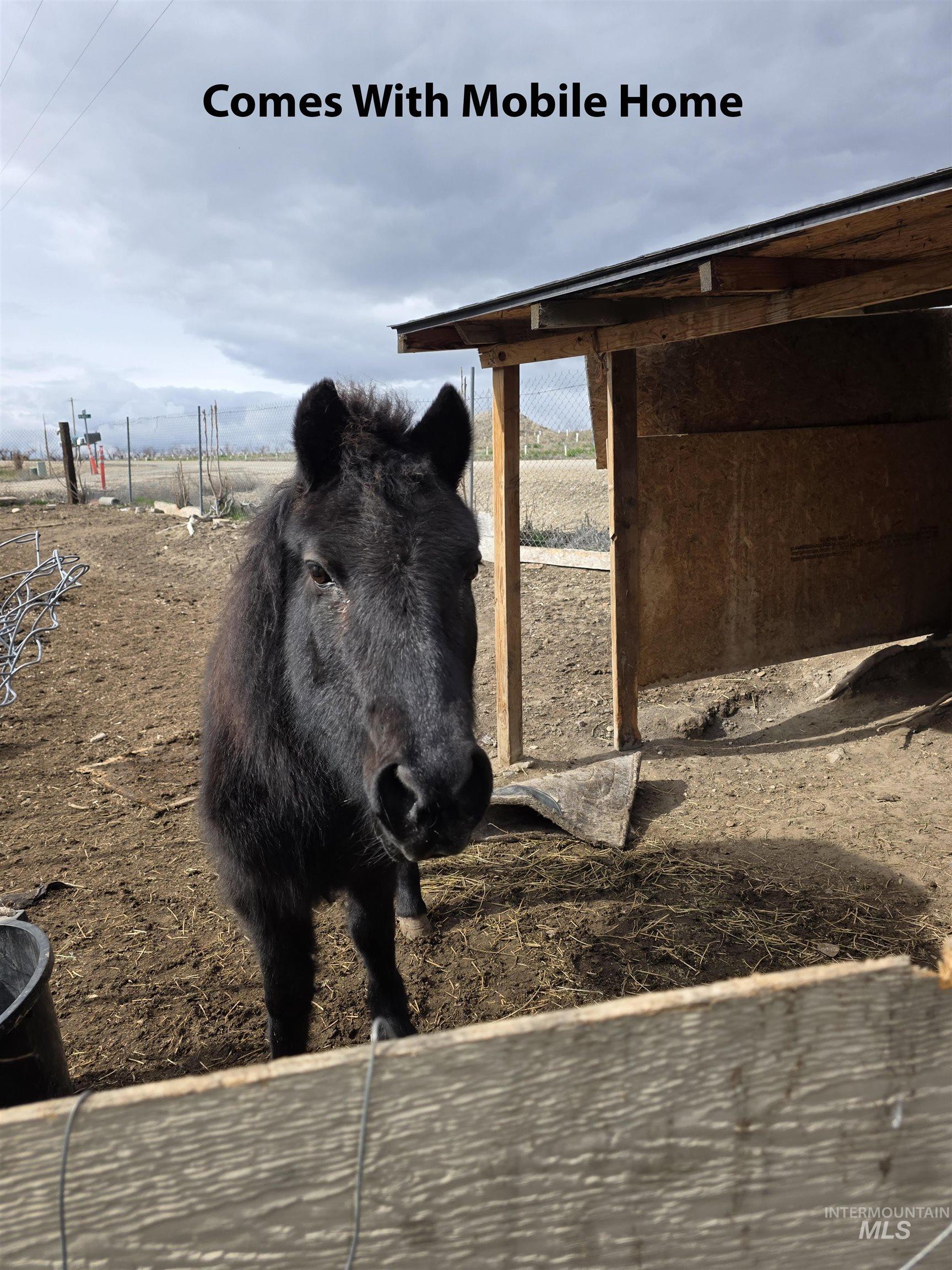 19151 Symms Rd, Caldwell, Idaho 83607, 3 Bedrooms, 2 Bathrooms, Residential For Sale, Price $100,000,MLS 98976839