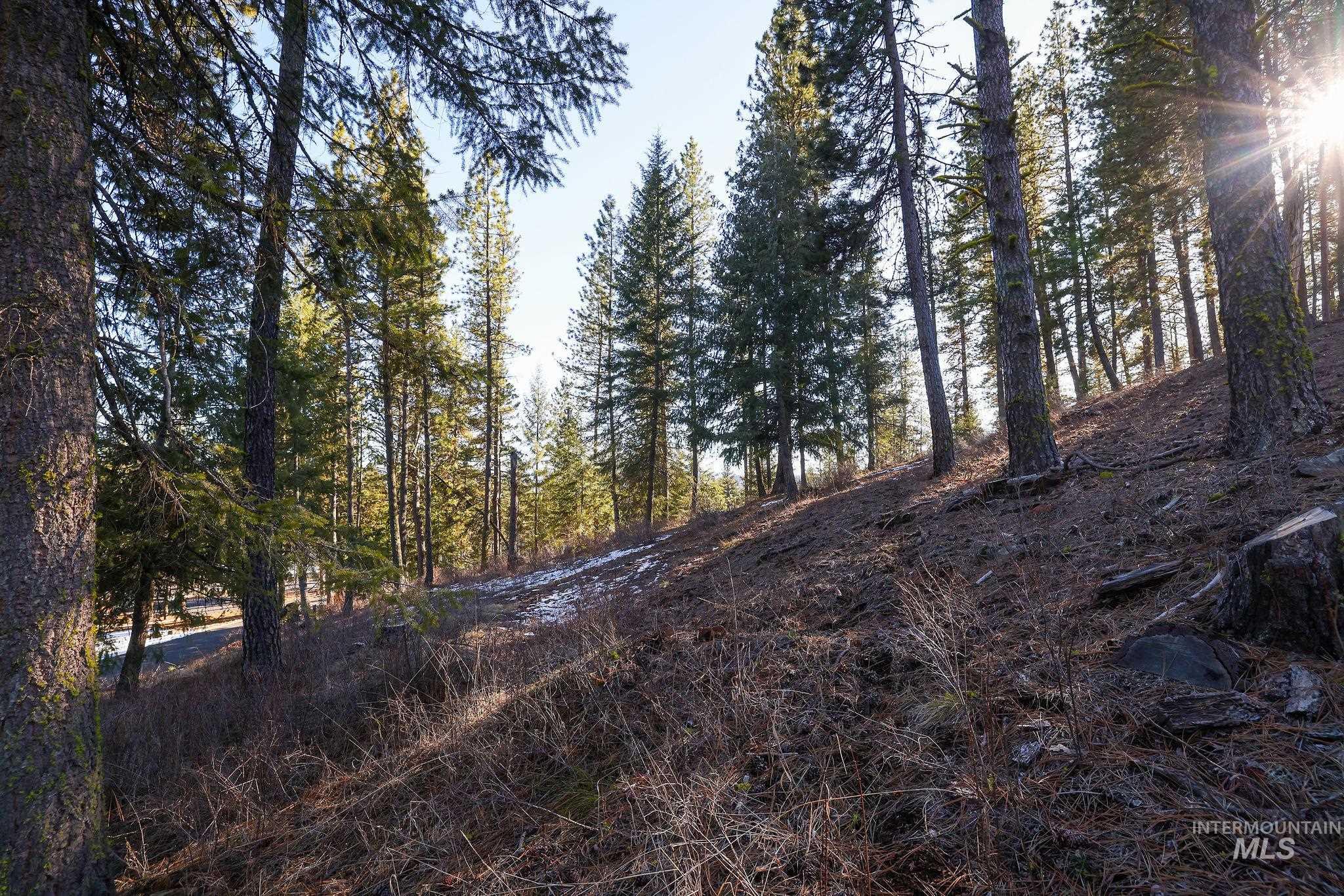 Lot 7 Camas Dr, New Meadows, Idaho 83654, Land For Sale, Price $90,000,MLS 98976873