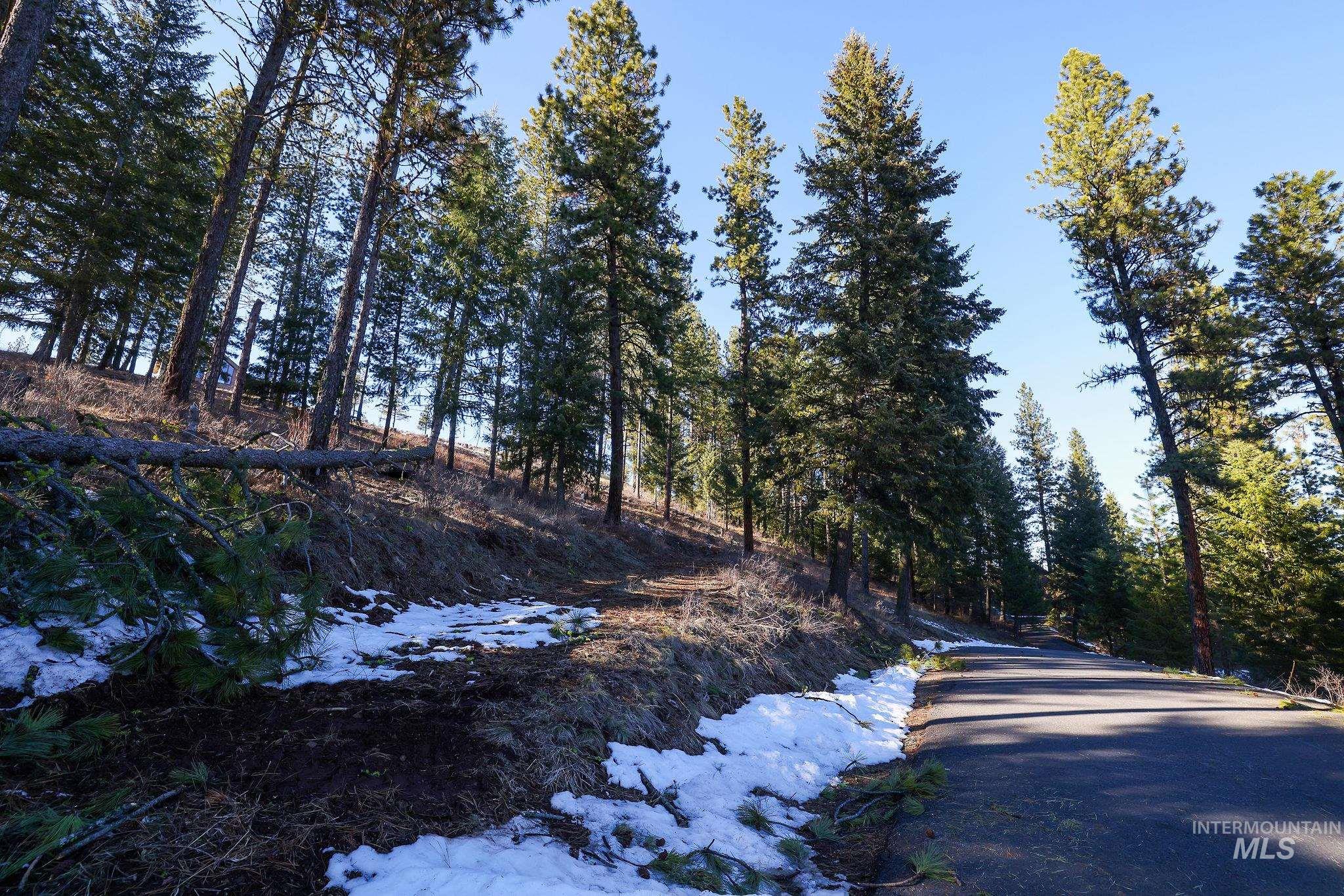 Lot 7 Camas Dr, New Meadows, Idaho 83654, Land For Sale, Price $90,000,MLS 98976873
