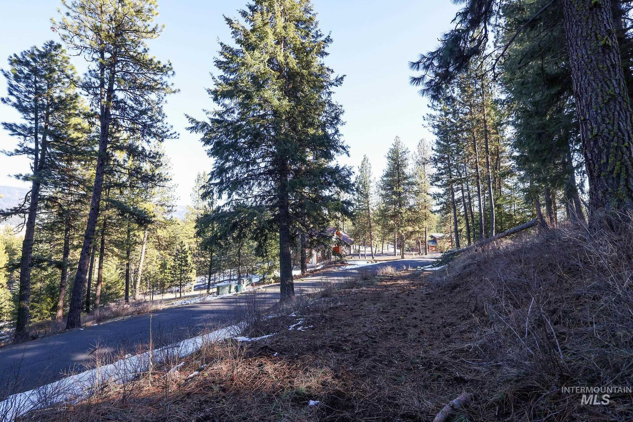 Lot 7 Camas Dr, New Meadows, Idaho 83654, Land For Sale, Price $90,000,MLS 98976873