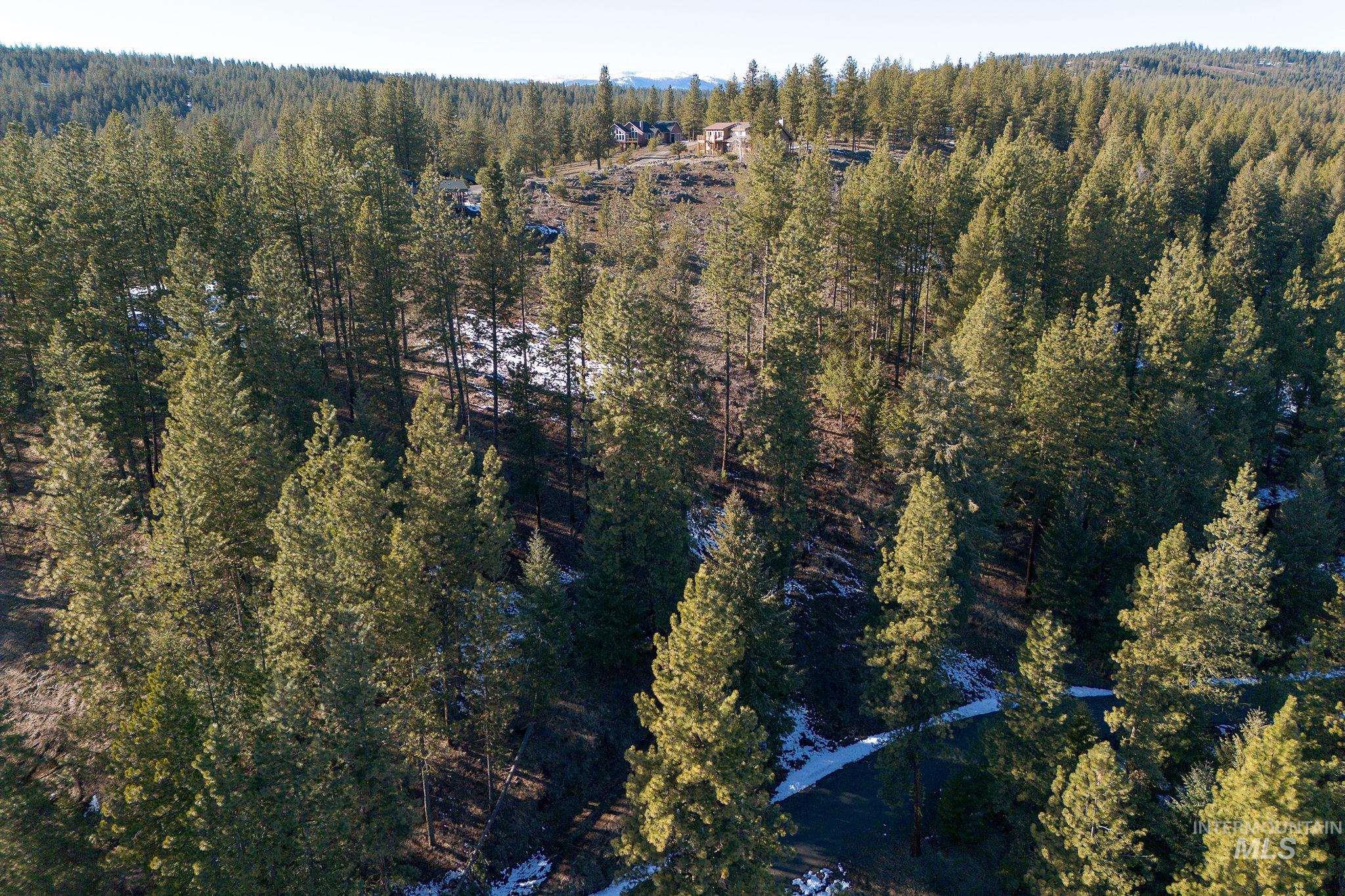 Lot 7 Camas Dr, New Meadows, Idaho 83654, Land For Sale, Price $90,000,MLS 98976873