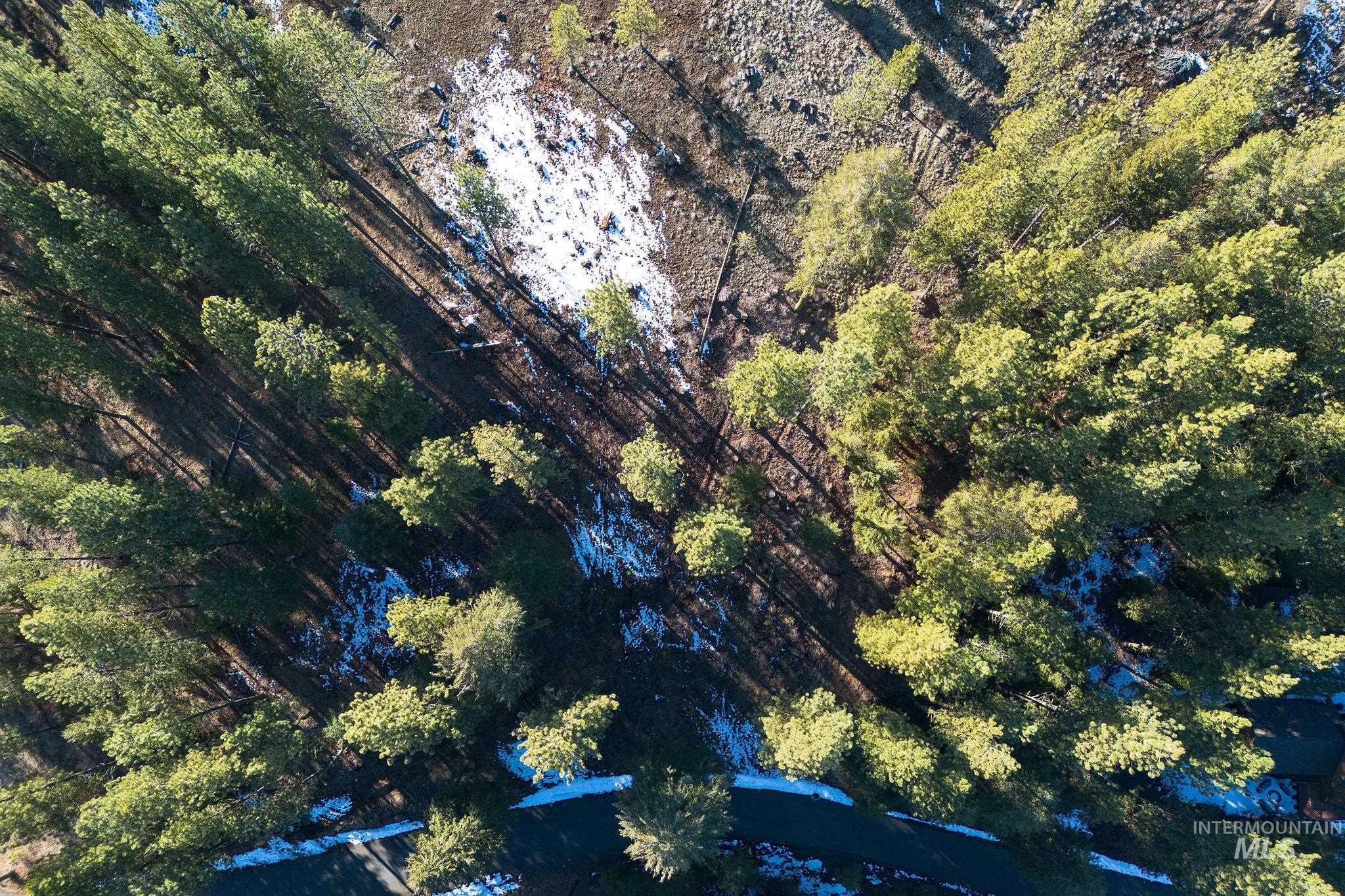 Lot 7 Camas Dr, New Meadows, Idaho 83654, Land For Sale, Price $90,000,MLS 98976873