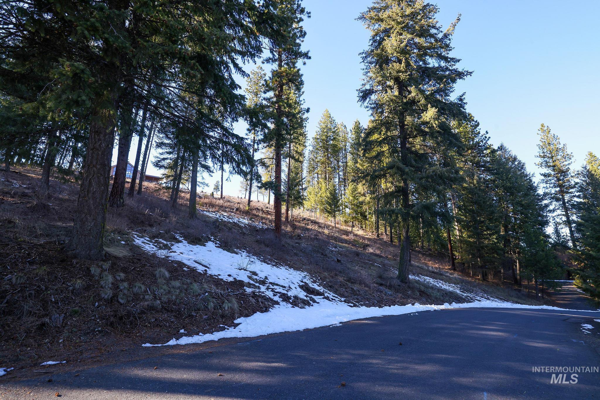 Lot 7 Camas Dr, New Meadows, Idaho 83654, Land For Sale, Price $90,000,MLS 98976873