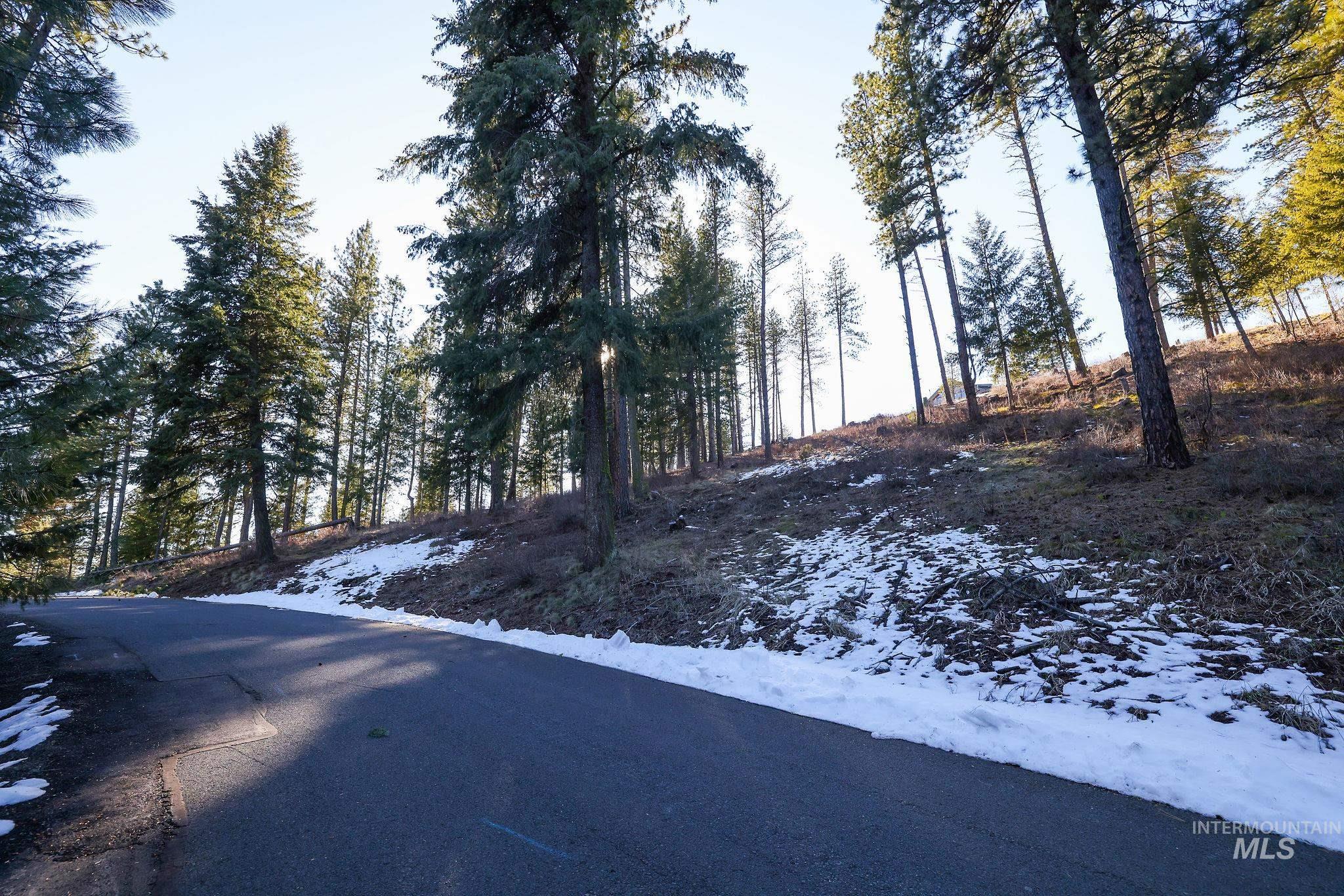 Lot 7 Camas Dr, New Meadows, Idaho 83654, Land For Sale, Price $90,000,MLS 98976873