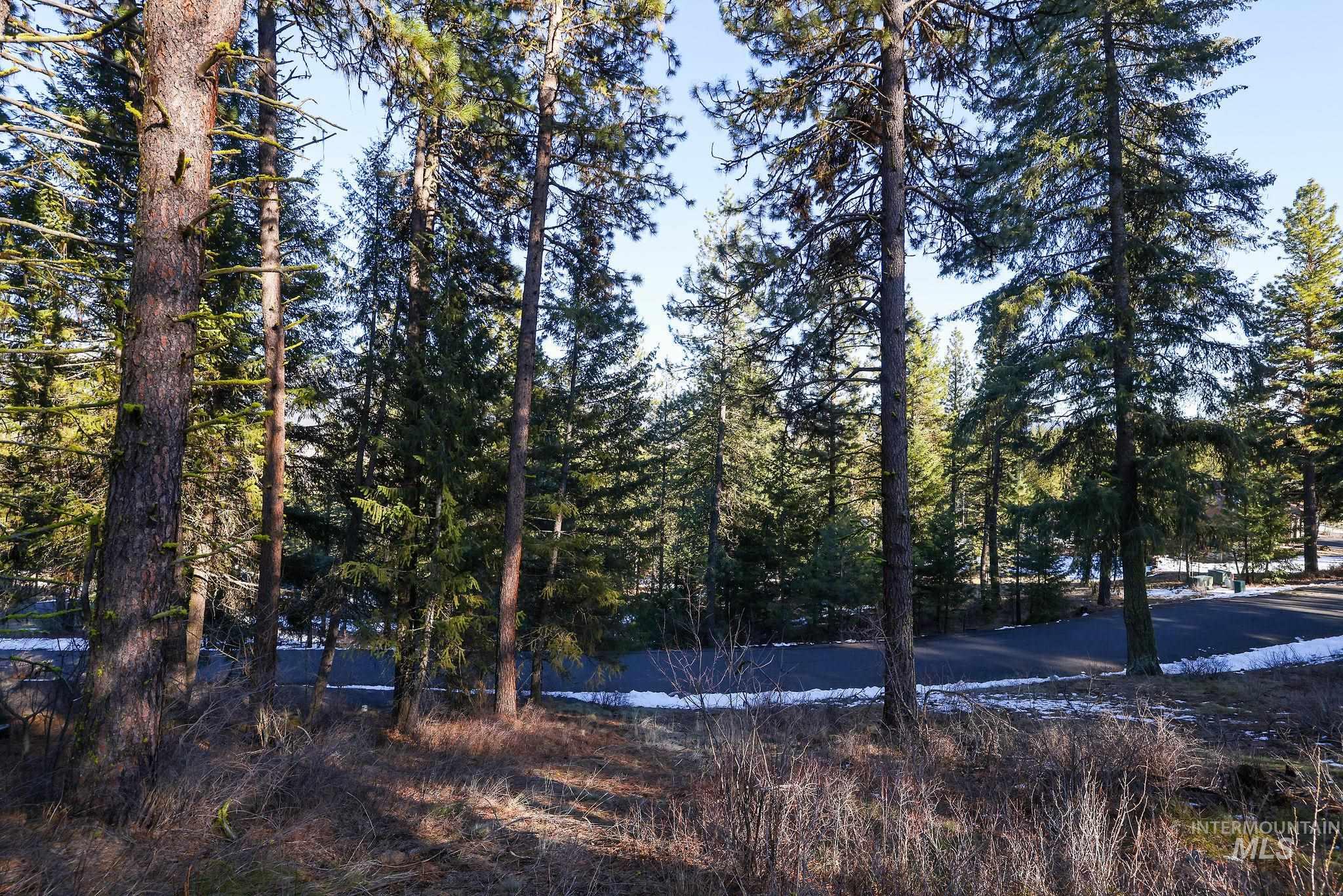 Lot 7 Camas Dr, New Meadows, Idaho 83654, Land For Sale, Price $90,000,MLS 98976873