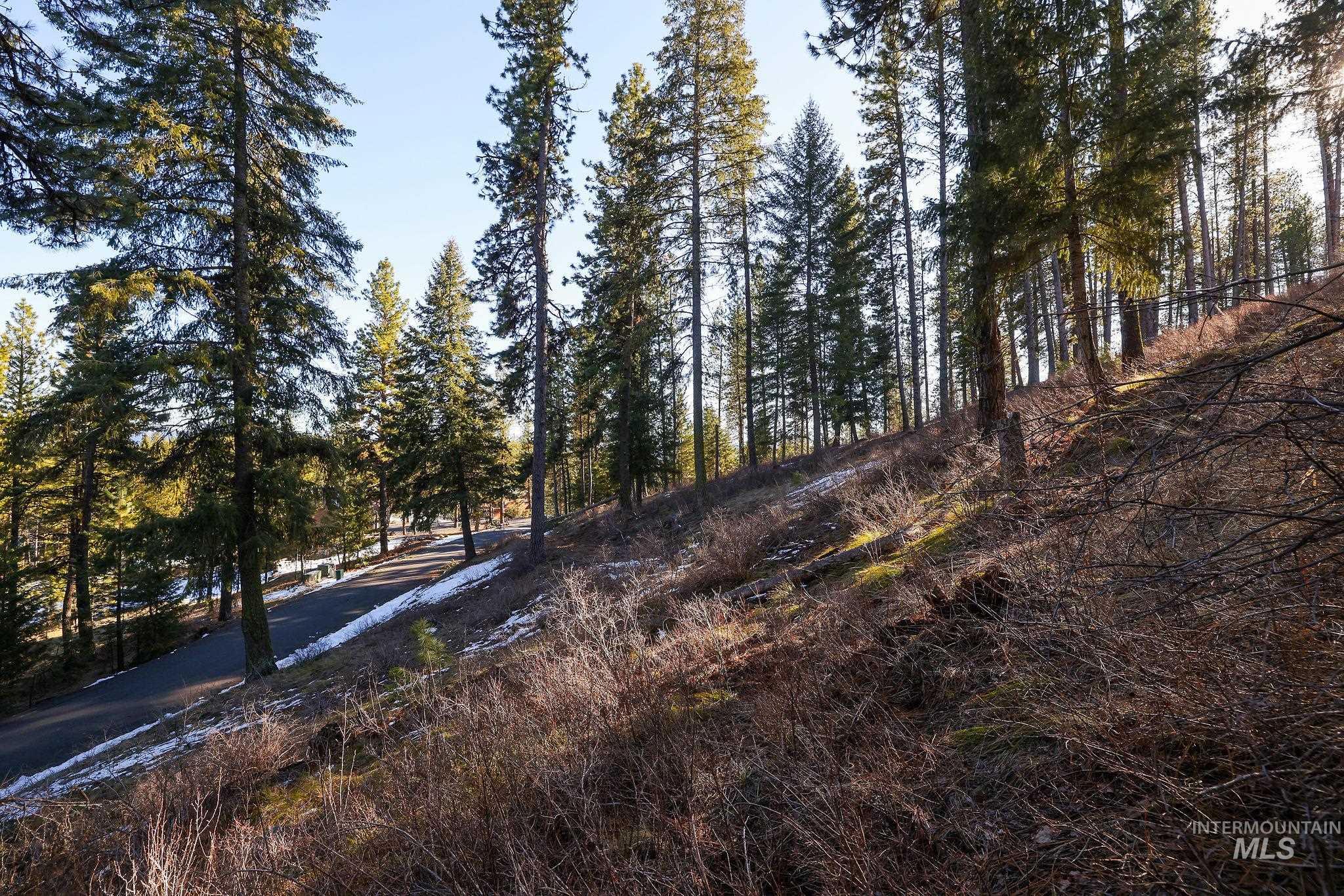 Lot 7 Camas Dr, New Meadows, Idaho 83654, Land For Sale, Price $90,000,MLS 98976873