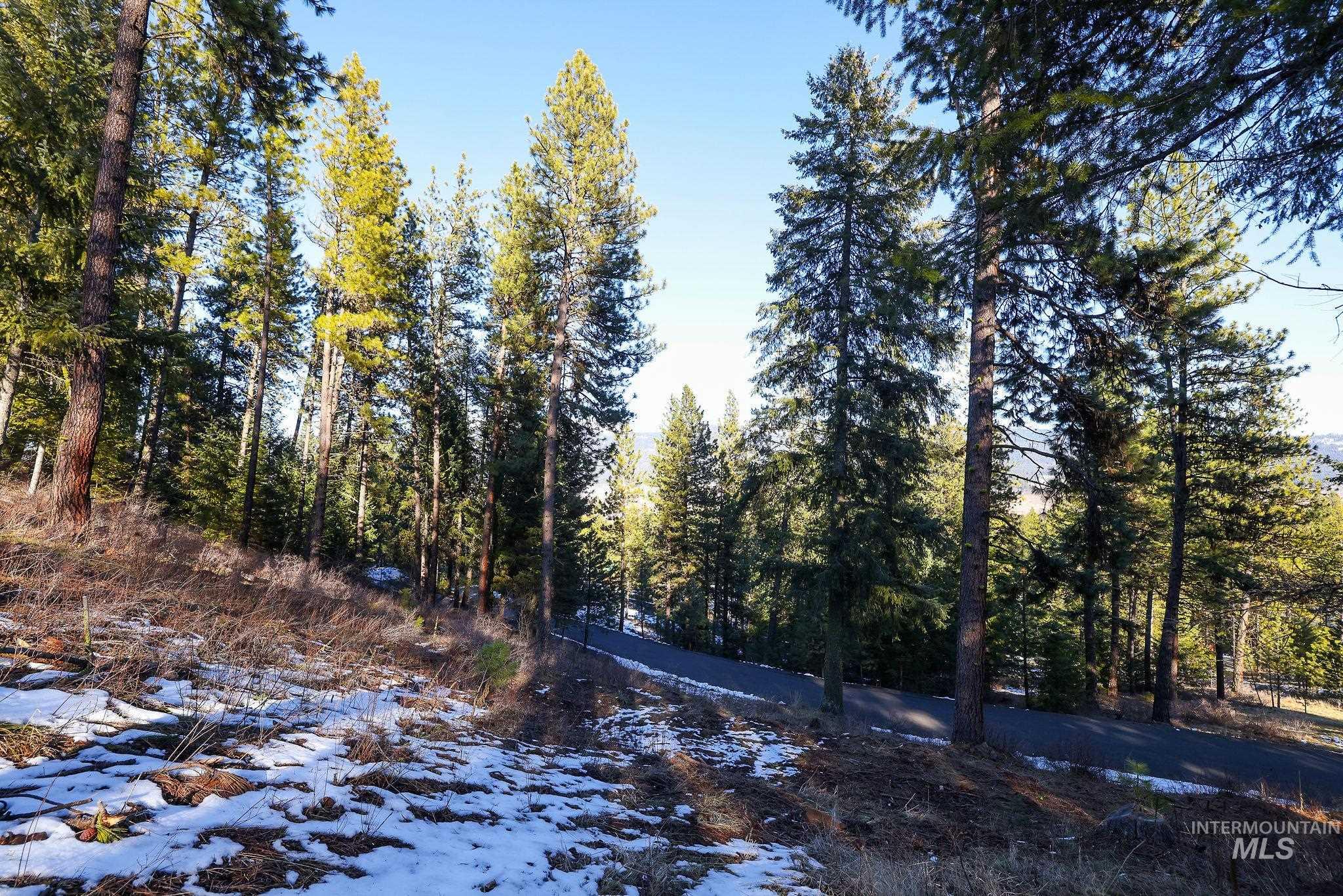 Lot 7 Camas Dr, New Meadows, Idaho 83654, Land For Sale, Price $90,000,MLS 98976873