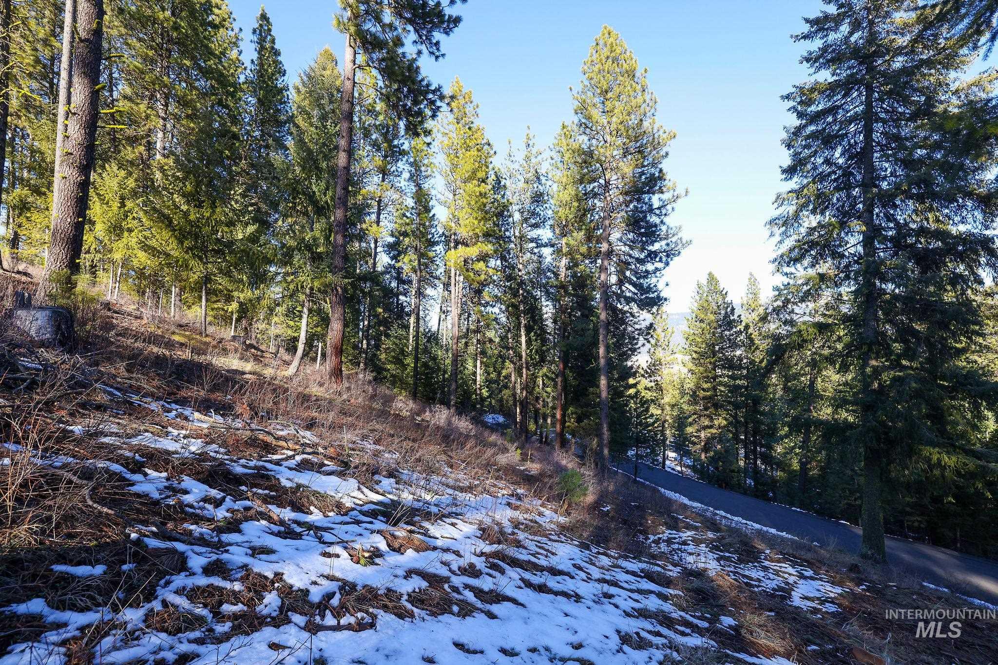 Lot 7 Camas Dr, New Meadows, Idaho 83654, Land For Sale, Price $90,000,MLS 98976873