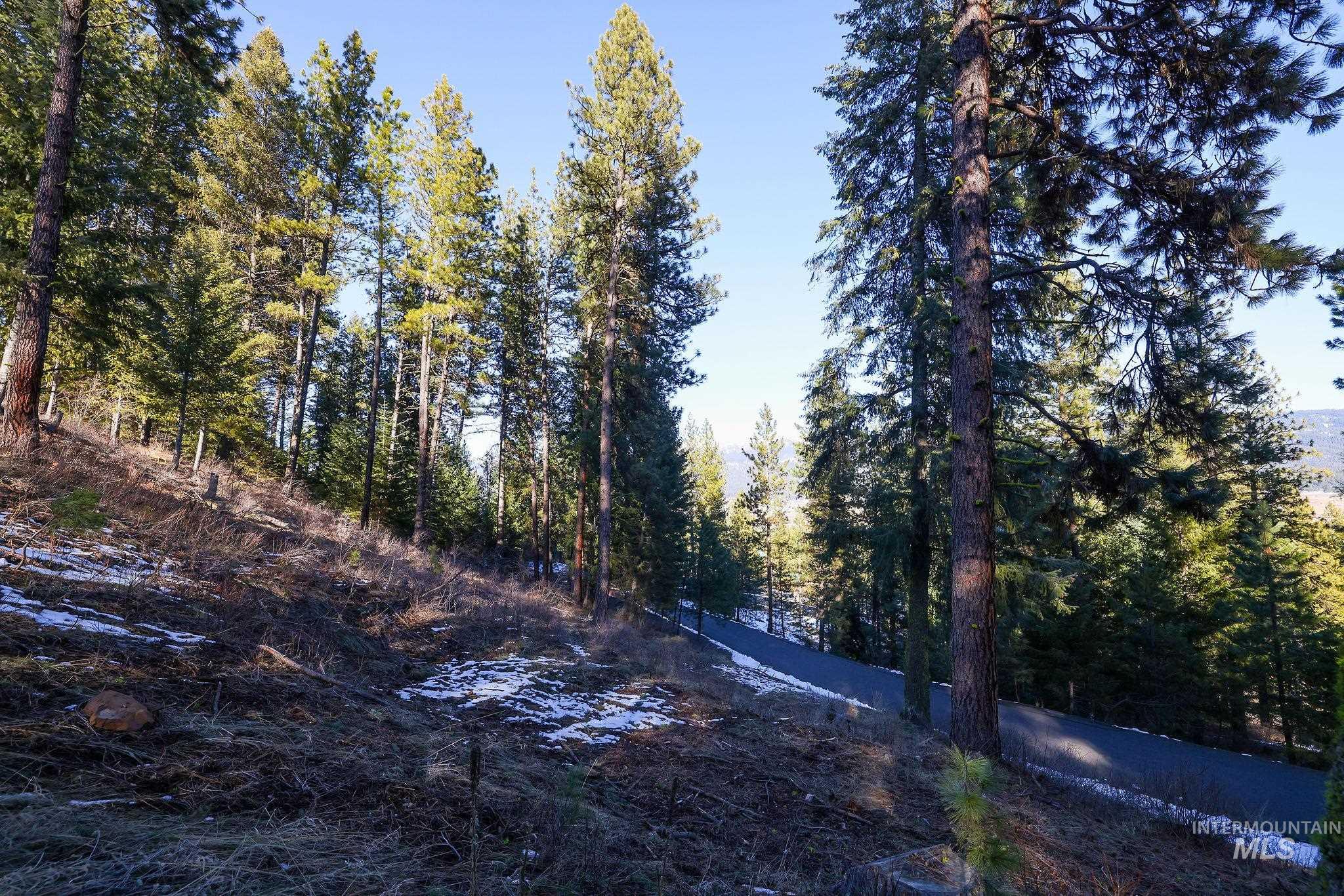 Lot 7 Camas Dr, New Meadows, Idaho 83654, Land For Sale, Price $90,000,MLS 98976873