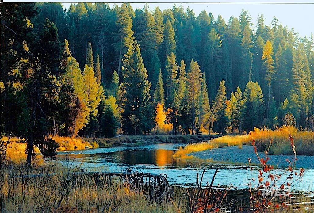 117 Morgan Drive, McCall, Idaho 83638, Land For Sale, Price $275,000,MLS 98976881