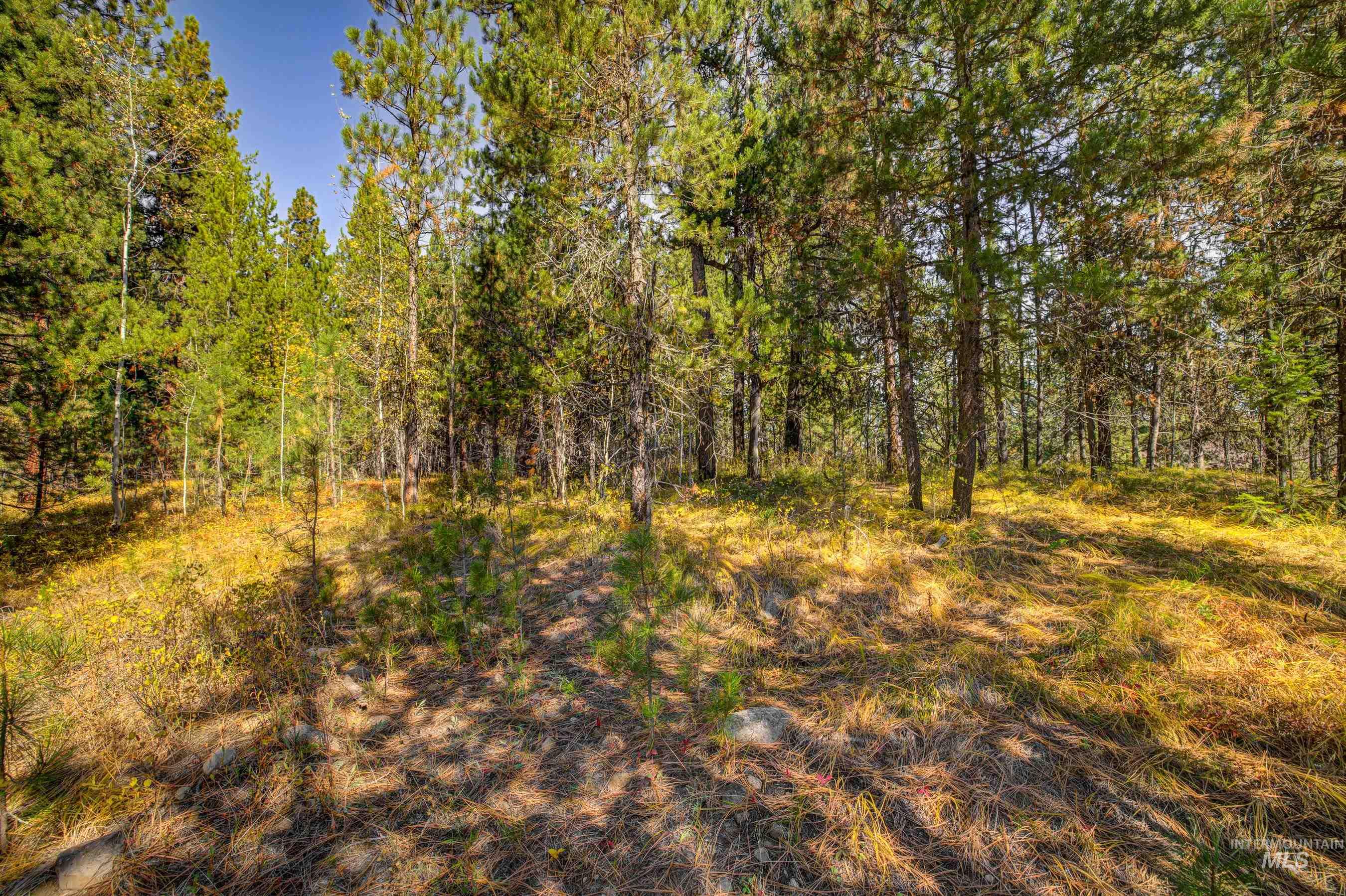 117 Morgan Drive, McCall, Idaho 83638, Land For Sale, Price $275,000,MLS 98976881