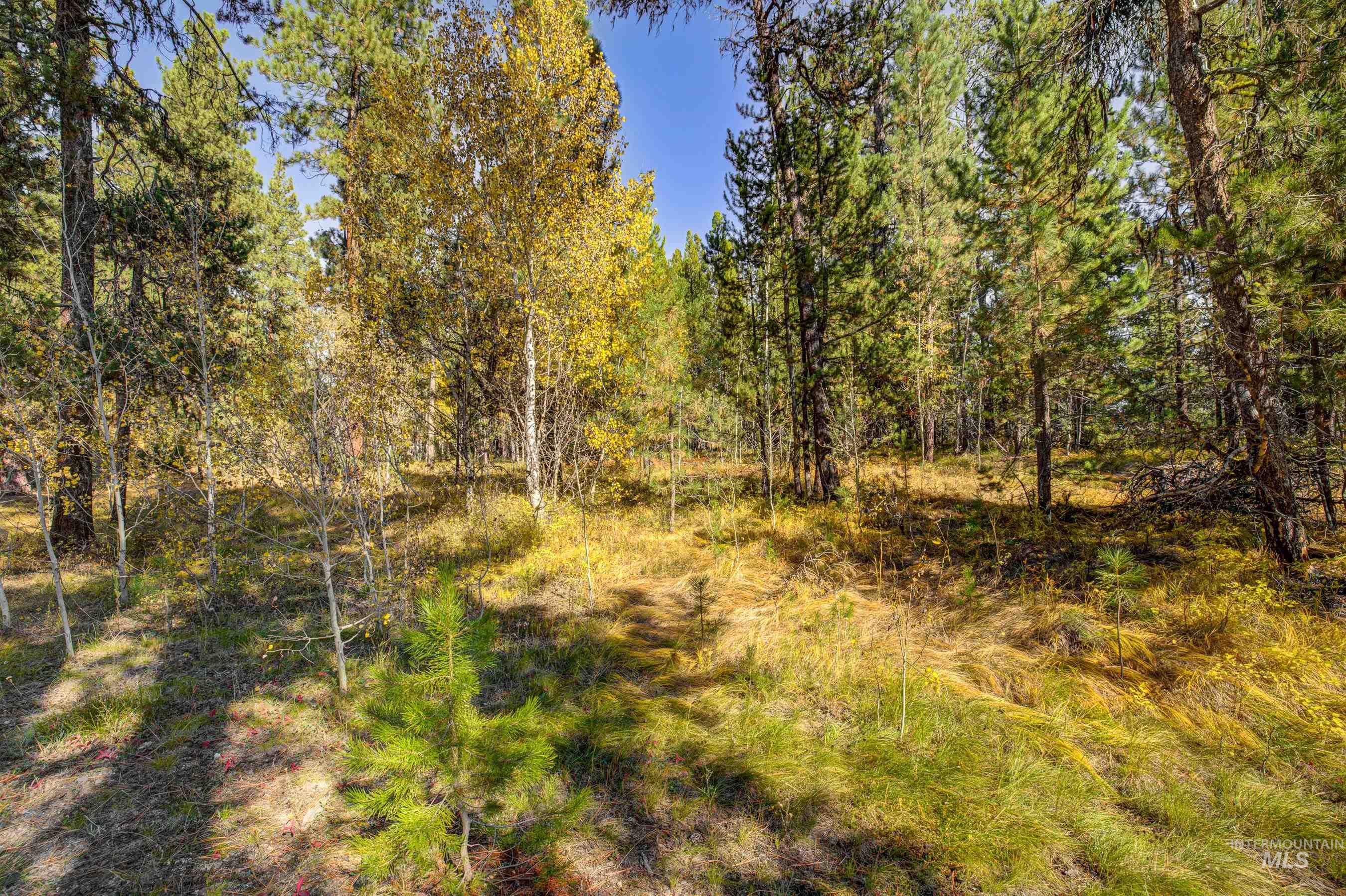 117 Morgan Drive, McCall, Idaho 83638, Land For Sale, Price $275,000,MLS 98976881