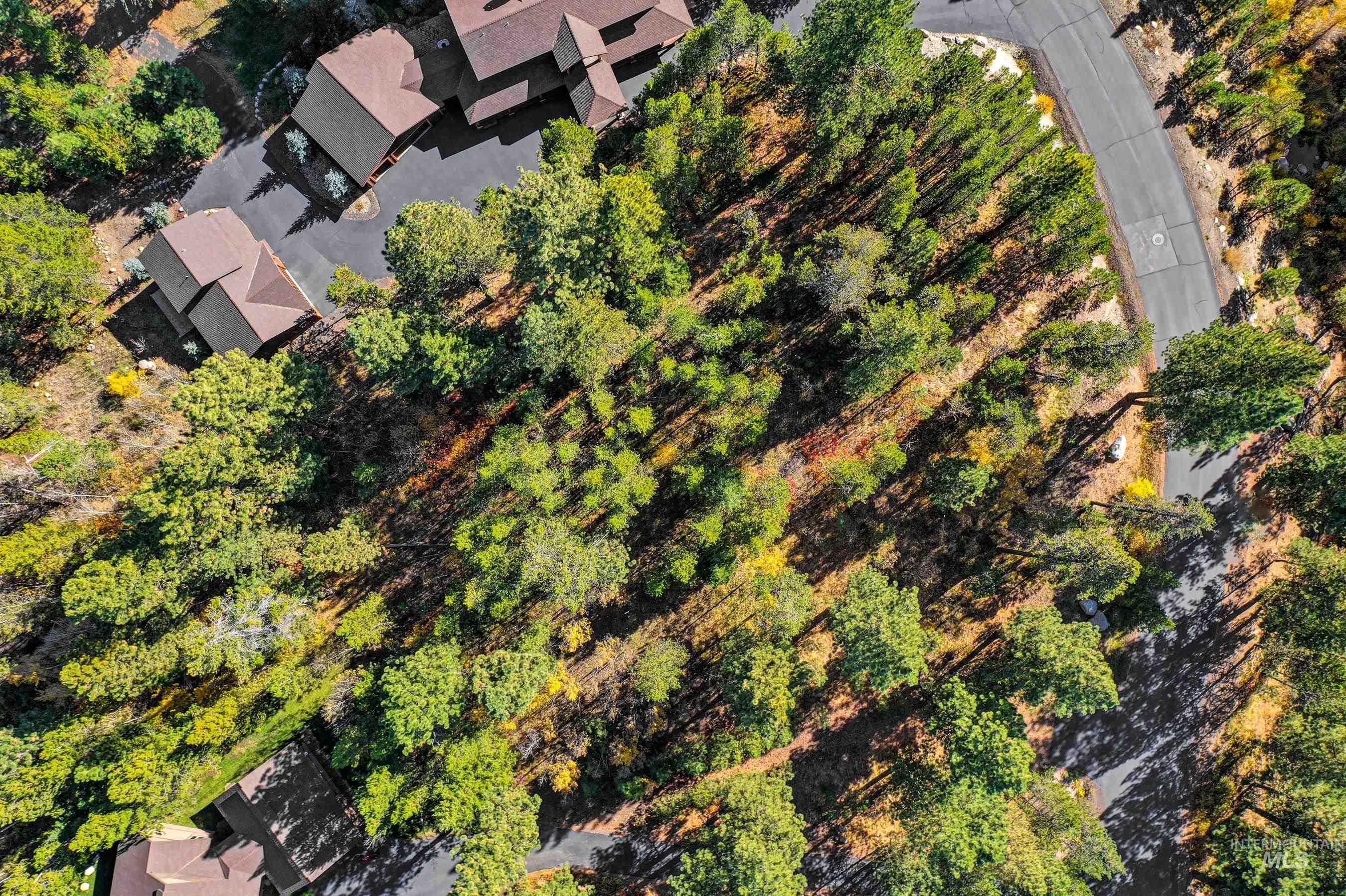 117 Morgan Drive, McCall, Idaho 83638, Land For Sale, Price $275,000,MLS 98976881