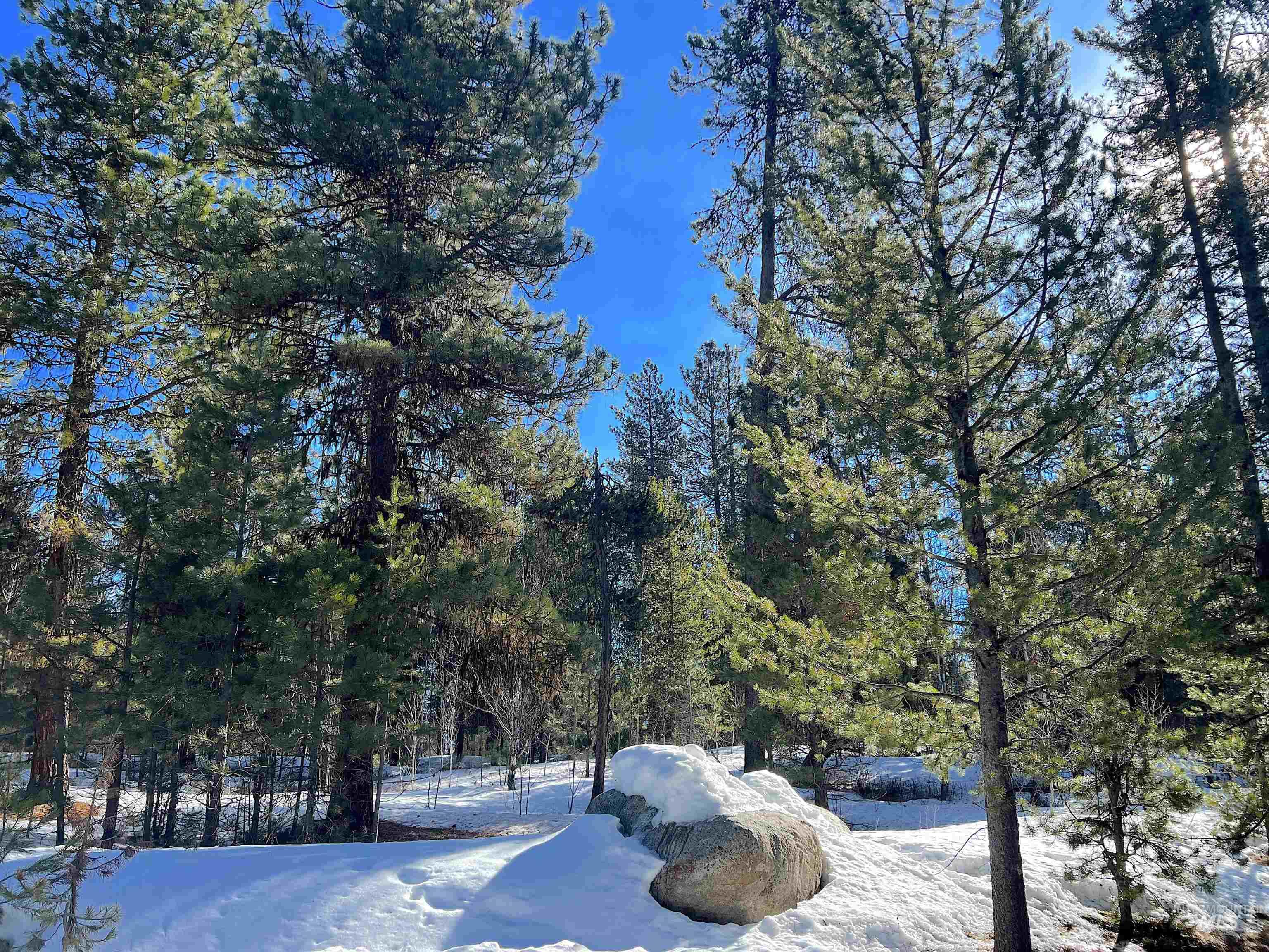 117 Morgan Drive, McCall, Idaho 83638, Land For Sale, Price $275,000,MLS 98976881