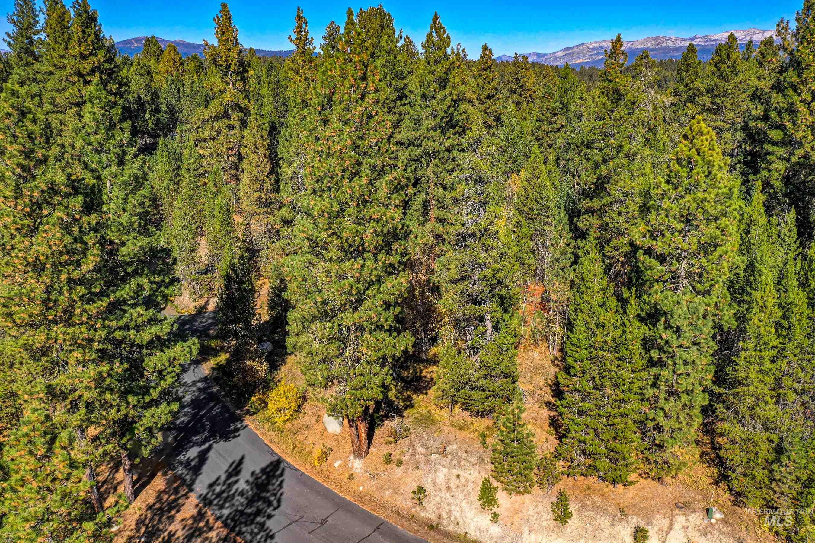 117 Morgan Drive, McCall, Idaho 83638, Land For Sale, Price $275,000,MLS 98976881