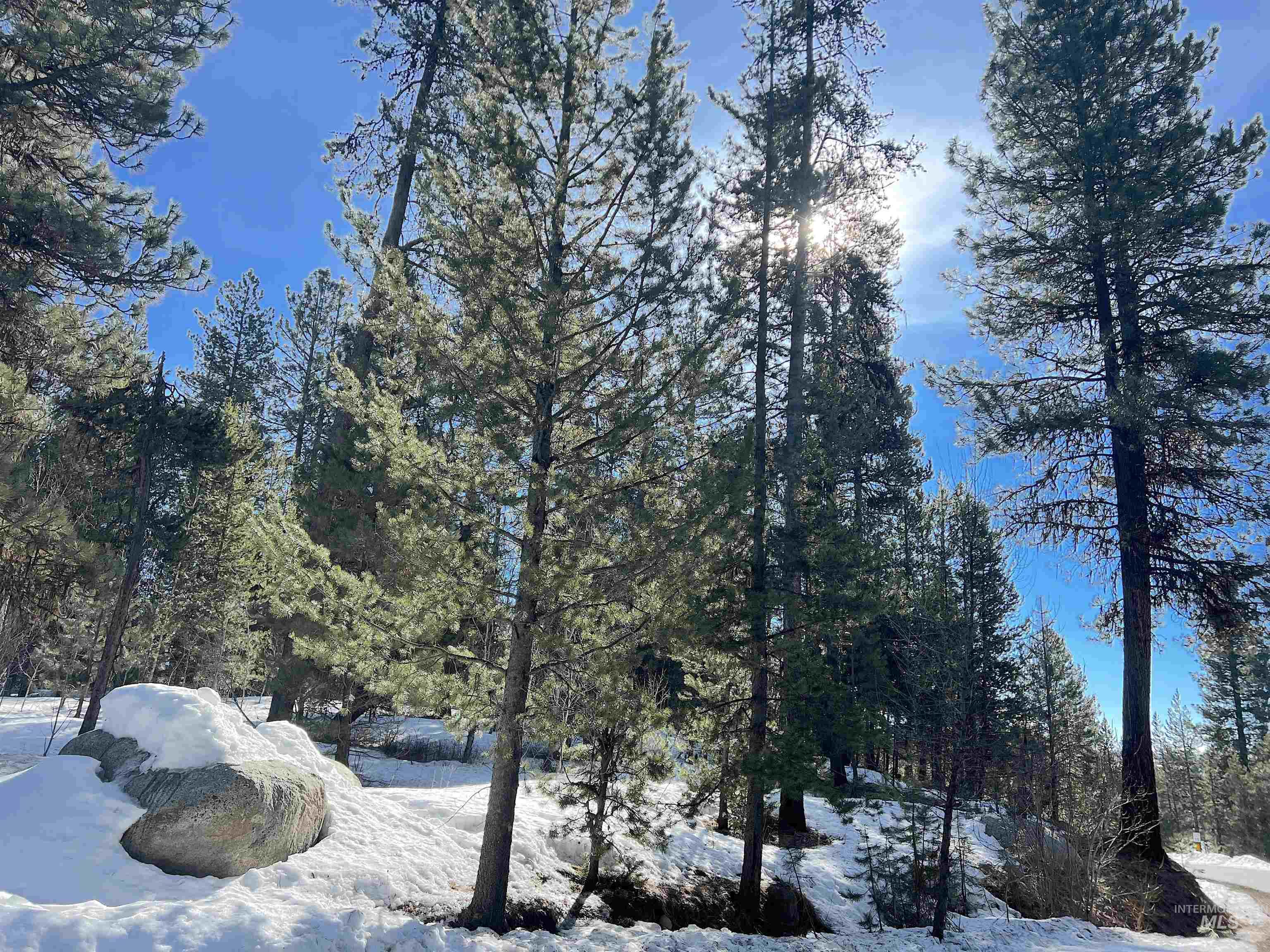 117 Morgan Drive, McCall, Idaho 83638, Land For Sale, Price $275,000,MLS 98976881