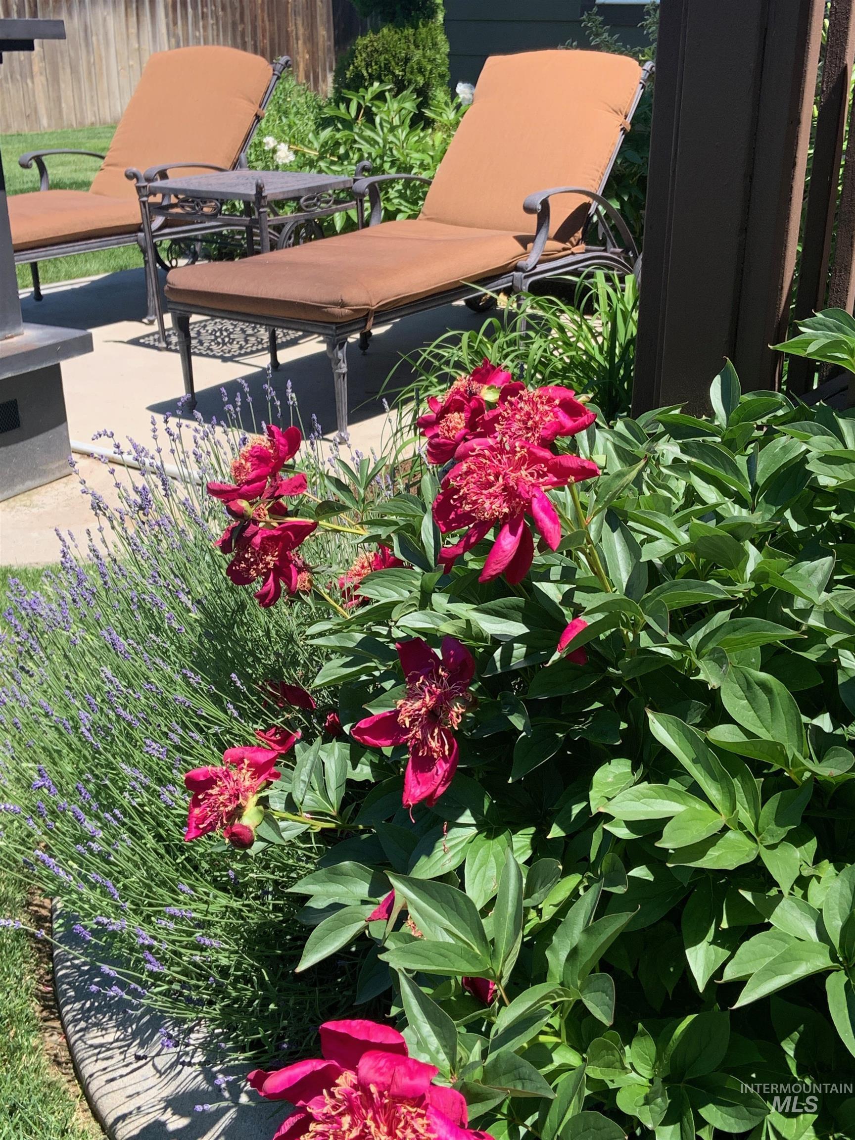 1785 Walnut Ave., Fruitland, Idaho 83619, 3 Bedrooms, 2 Bathrooms, Residential For Sale, Price $549,000,MLS 98976888