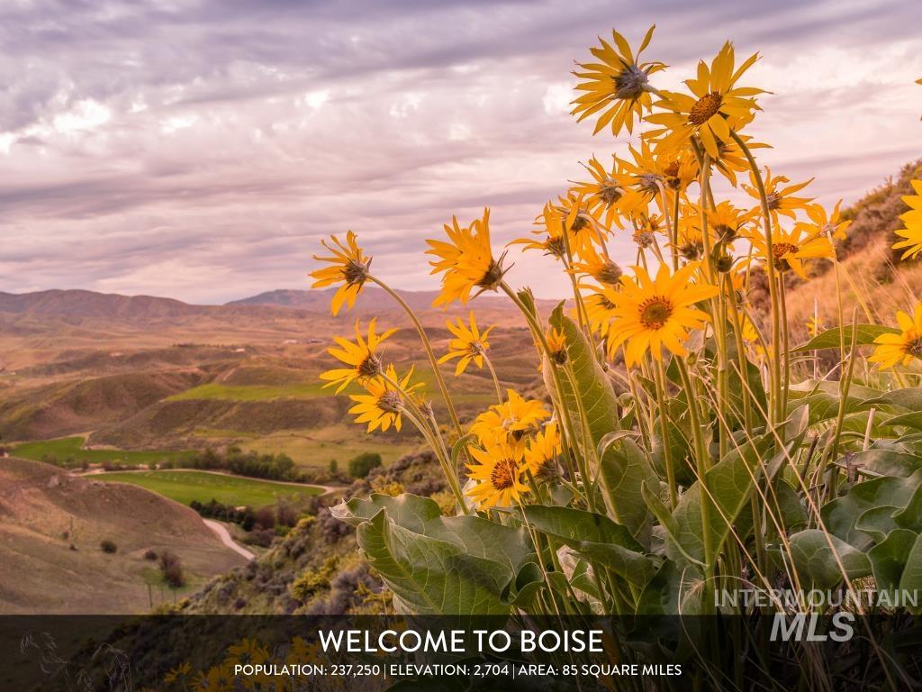 10001 W Fox Brush Dr, Boise, Idaho 83709, 4 Bedrooms, 2 Bathrooms, Residential For Sale, Price $468,900,MLS 98976893