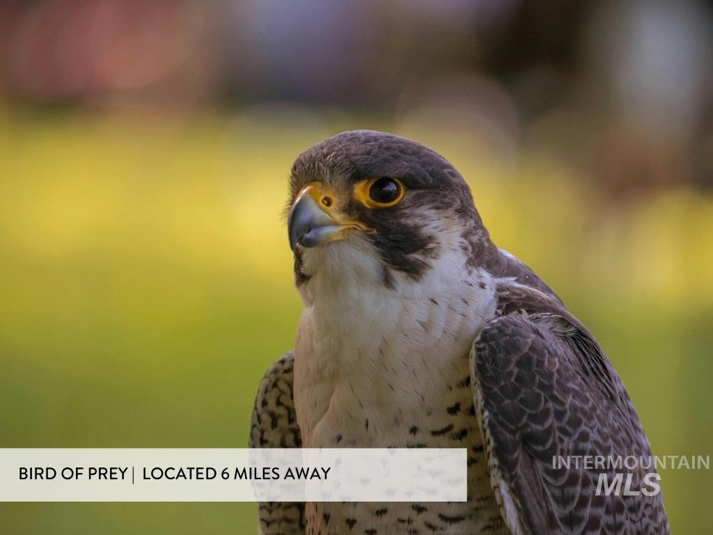 10001 W Fox Brush Dr, Boise, Idaho 83709, 4 Bedrooms, 2 Bathrooms, Residential For Sale, Price $468,900,MLS 98976893