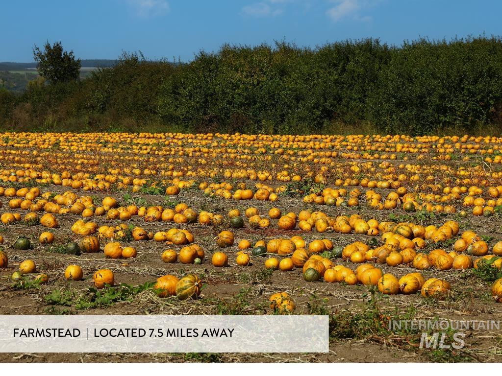 10001 W Fox Brush Dr, Boise, Idaho 83709, 4 Bedrooms, 2 Bathrooms, Residential For Sale, Price $468,900,MLS 98976893