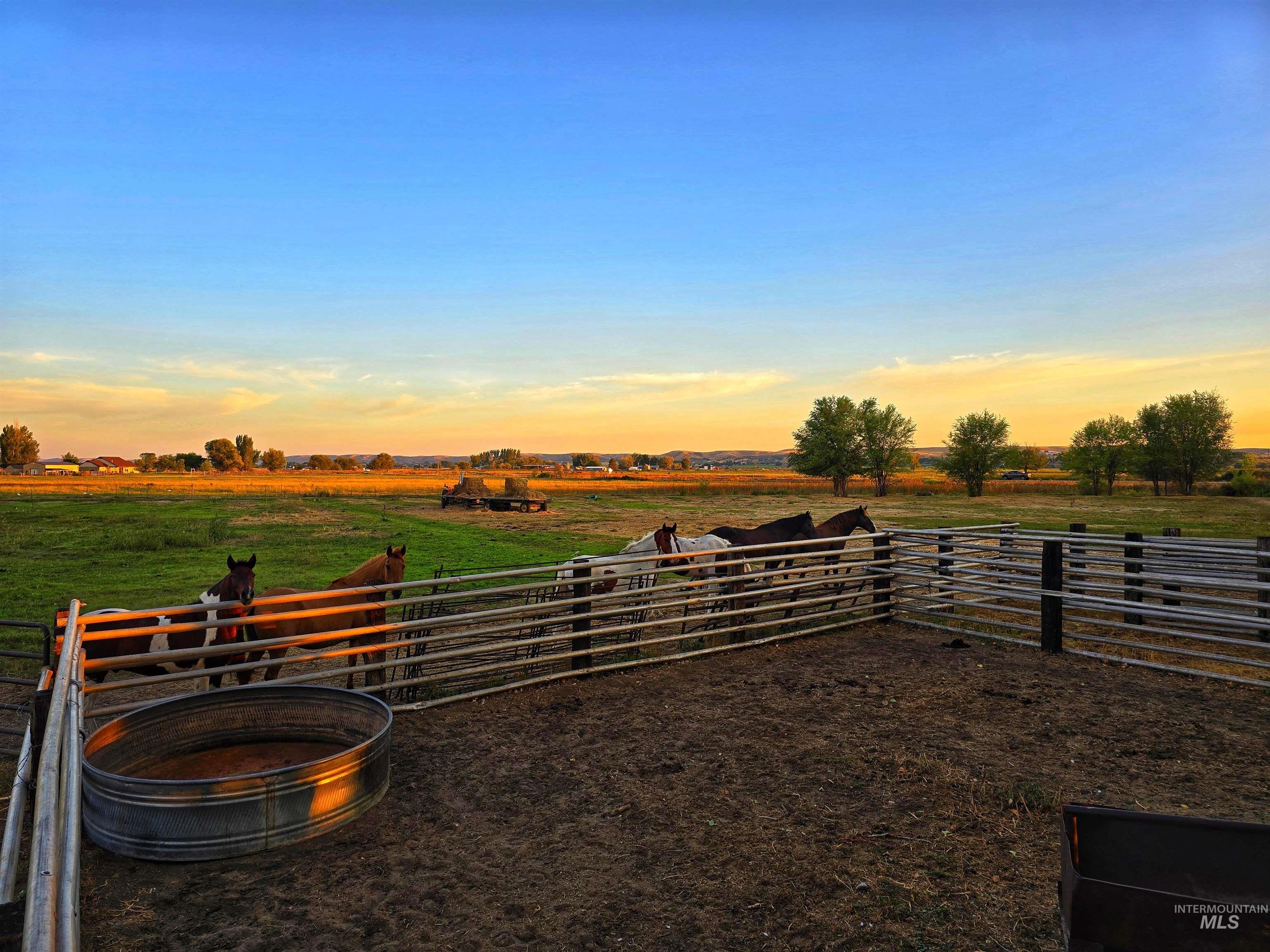 4800 Freemont Rd, New Plymouth, Idaho 83655, 4 Bedrooms, 2.5 Bathrooms, Residential For Sale, Price $779,000,MLS 98976906