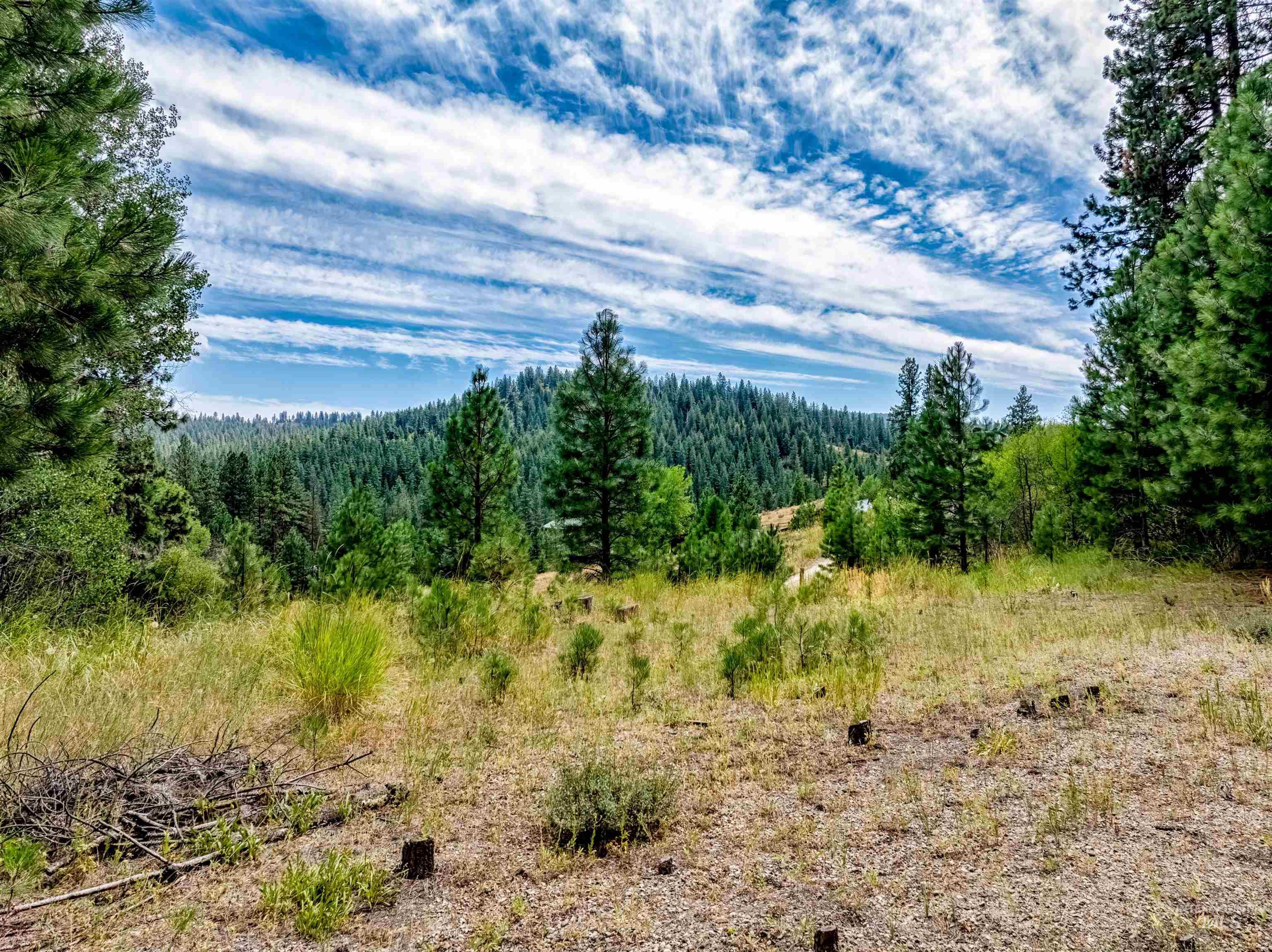 LOT 53 Pine Heights Drive, Boise, Idaho 83716, Land For Sale, Price $164,000, 98976908
