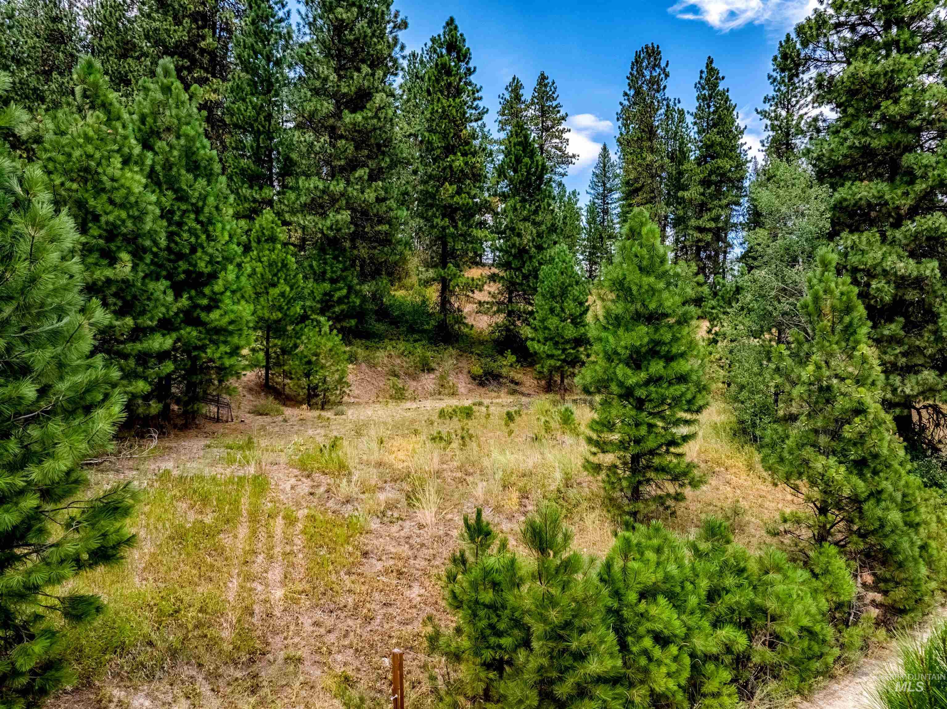 LOT 53 Pine Heights Drive, Boise, Idaho 83716, Land For Sale, Price $164,000, 98976908