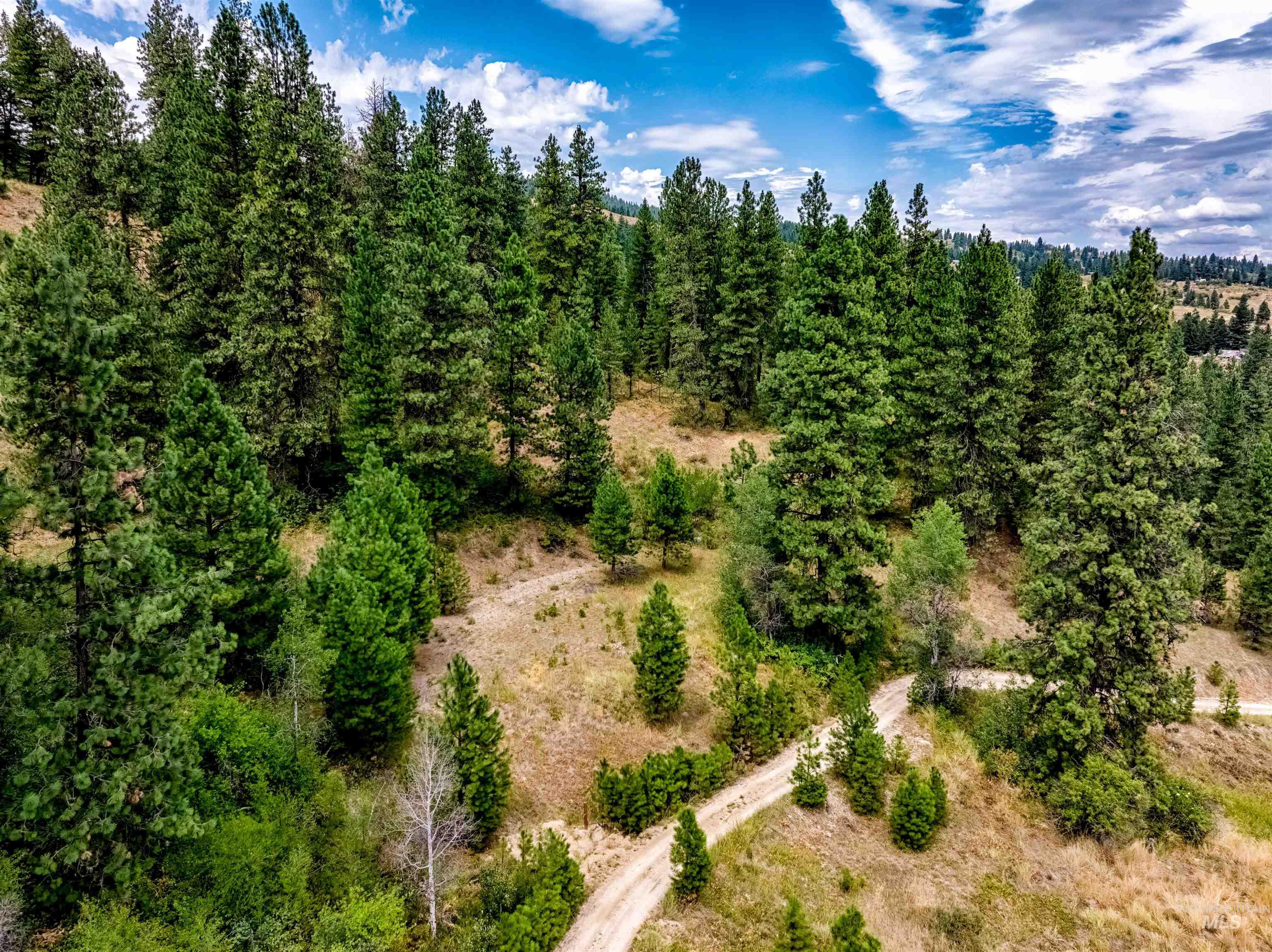 LOT 53 Pine Heights Drive, Boise, Idaho 83716, Land For Sale, Price $164,000, 98976908
