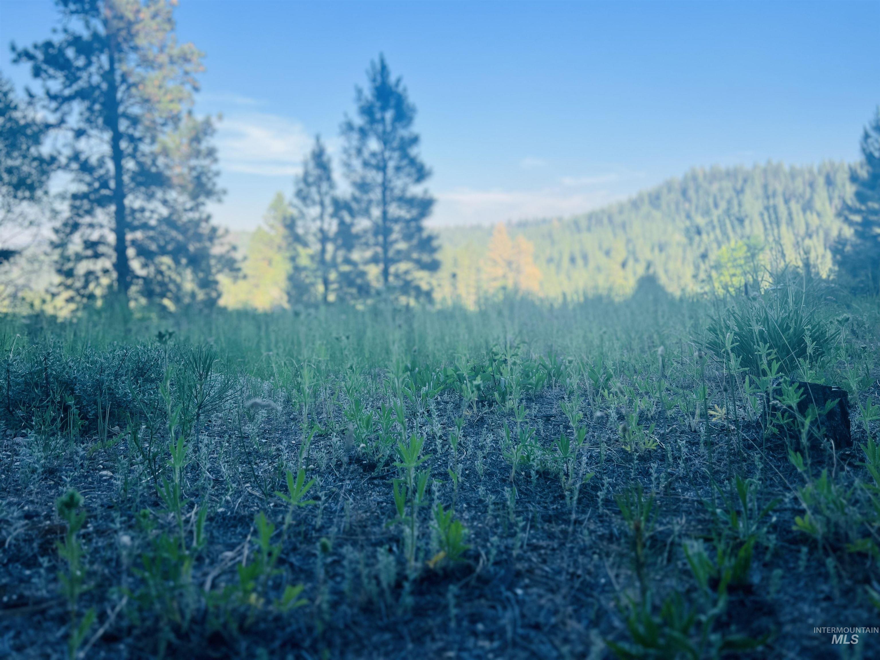 LOT 53 Pine Heights Drive, Boise, Idaho 83716, Land For Sale, Price $164,000, 98976908