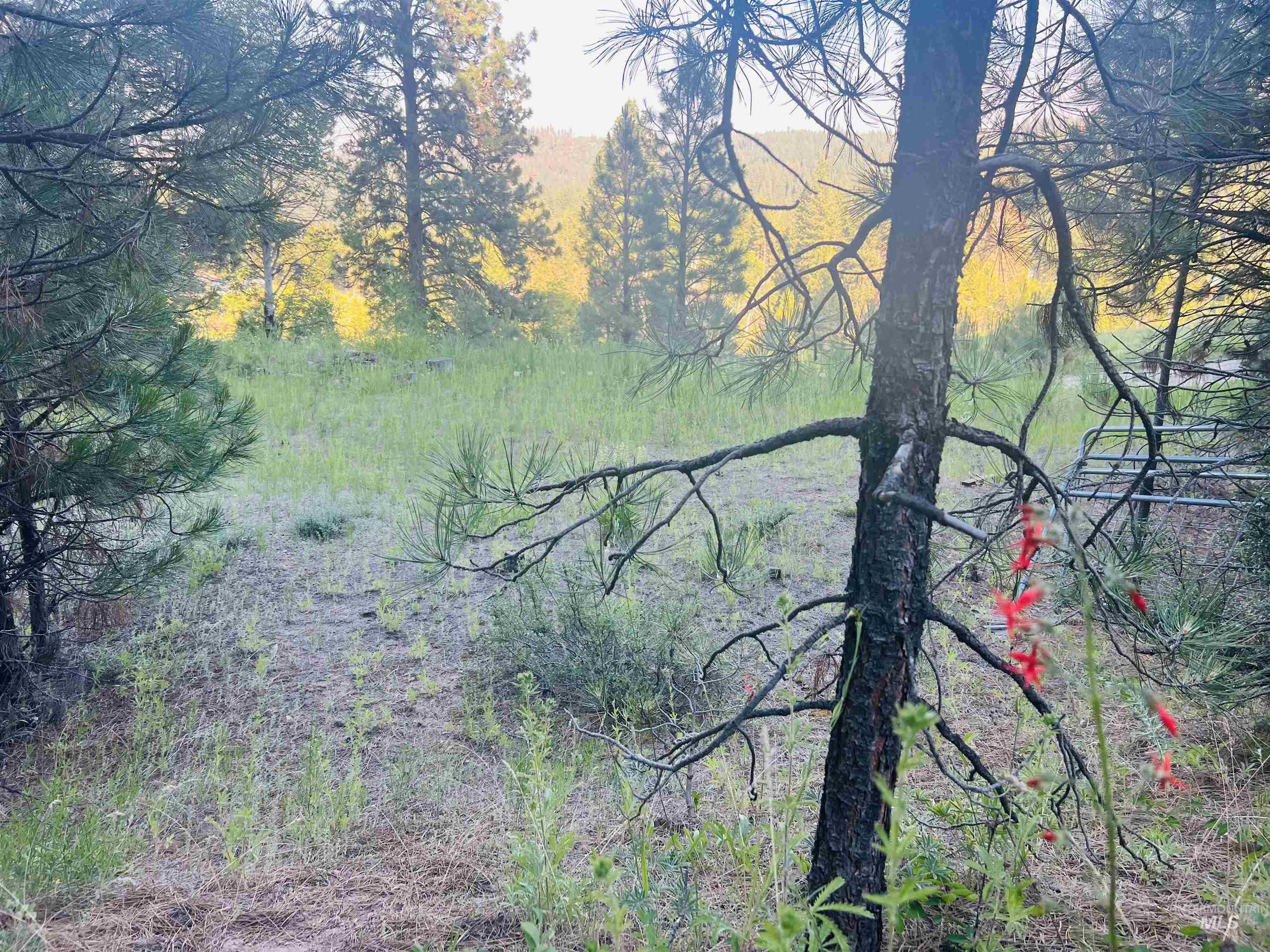 LOT 53 Pine Heights Drive, Boise, Idaho 83716, Land For Sale, Price $164,000, 98976908