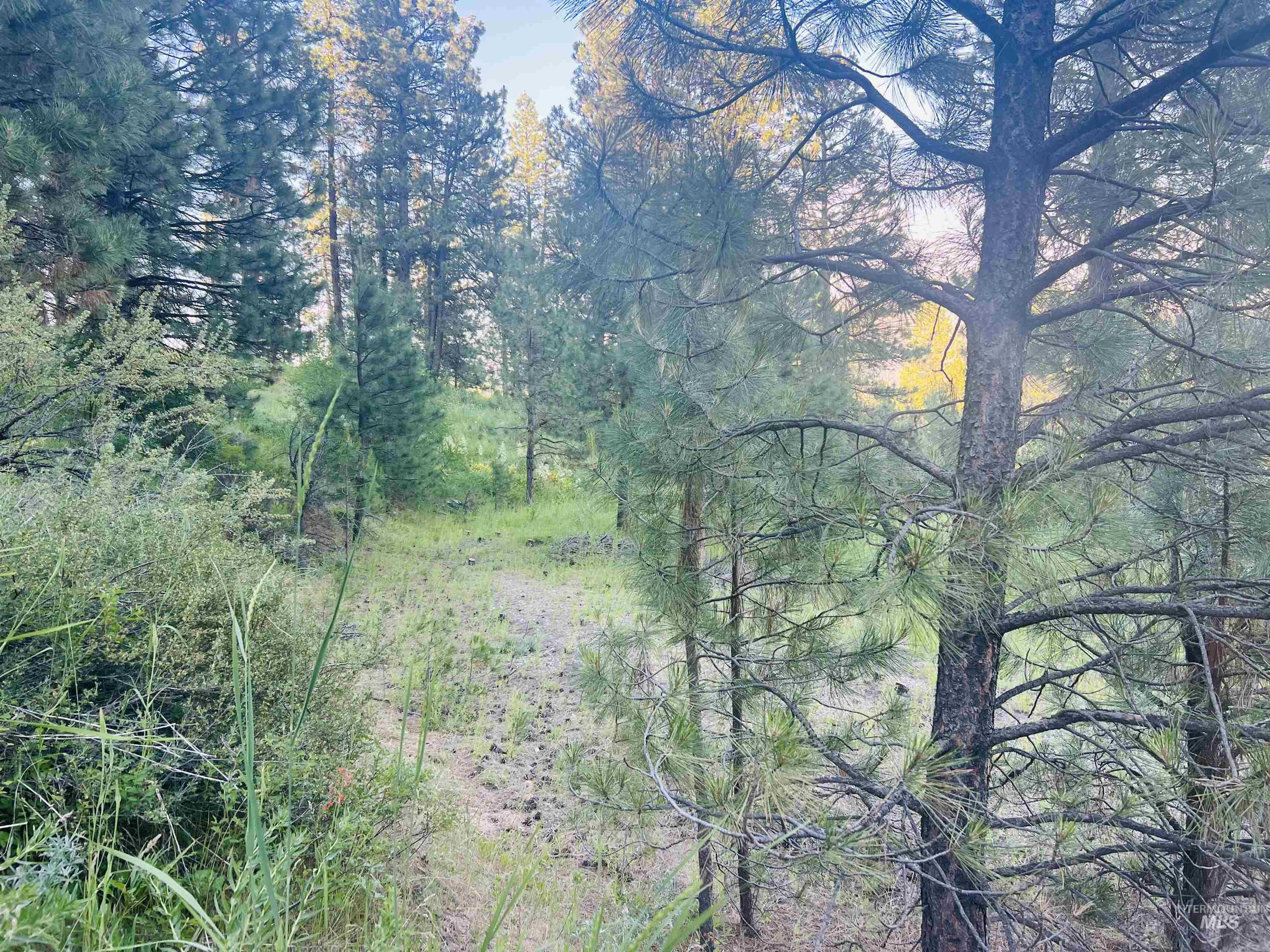 LOT 53 Pine Heights Drive, Boise, Idaho 83716, Land For Sale, Price $164,000, 98976908