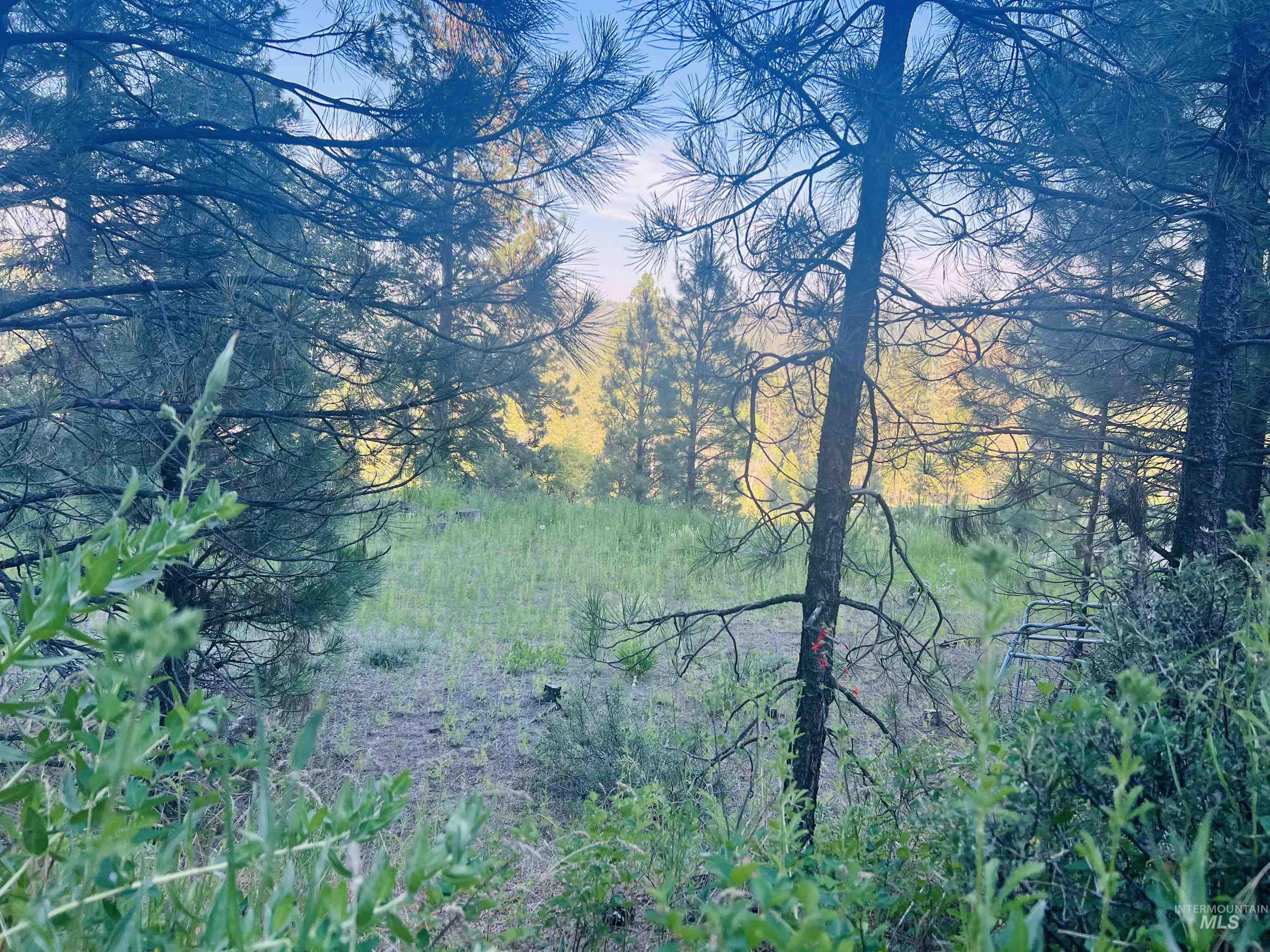 LOT 53 Pine Heights Drive, Boise, Idaho 83716, Land For Sale, Price $164,000, 98976908