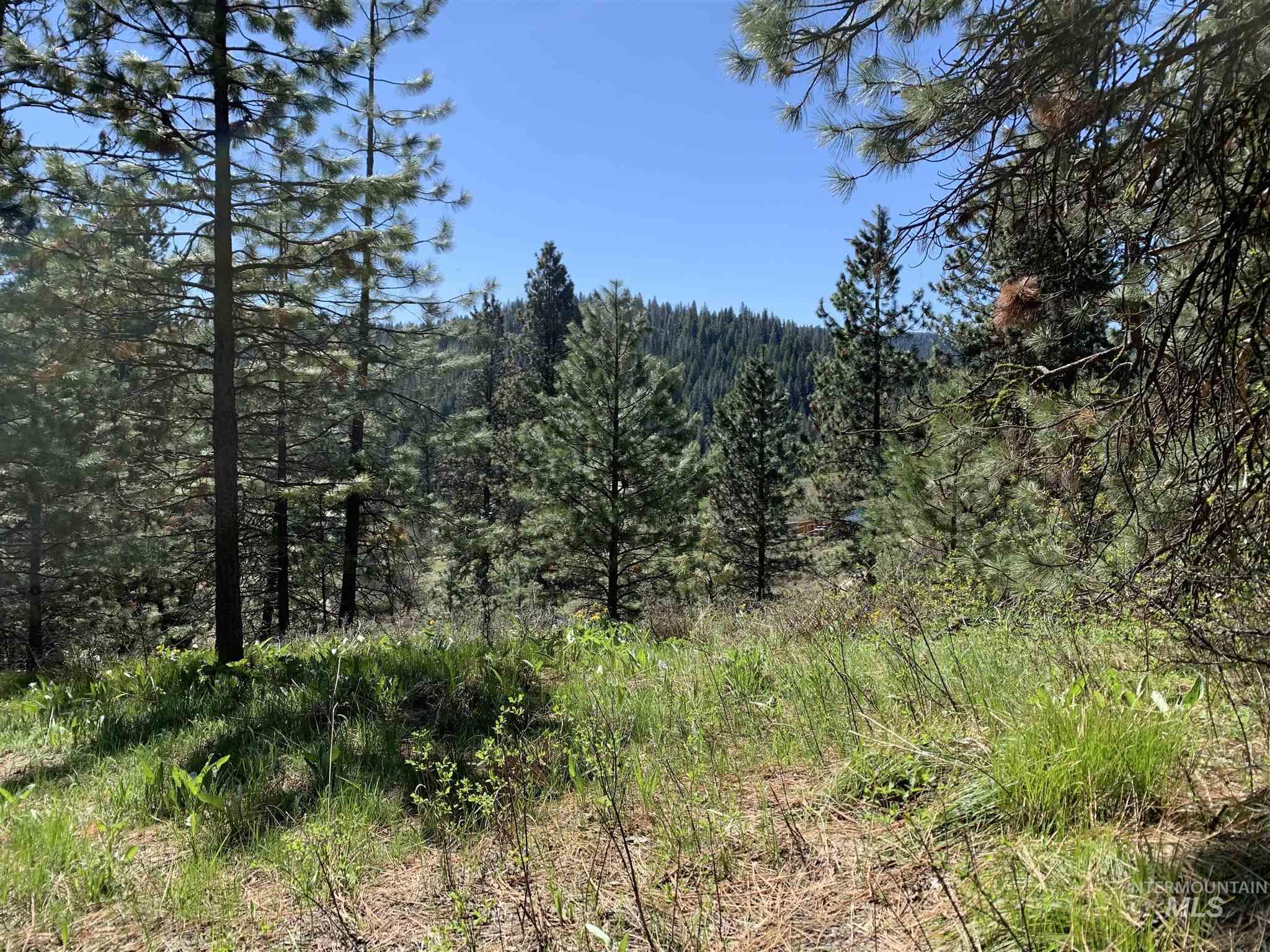 LOT 53 Pine Heights Drive, Boise, Idaho 83716, Land For Sale, Price $164,000, 98976908