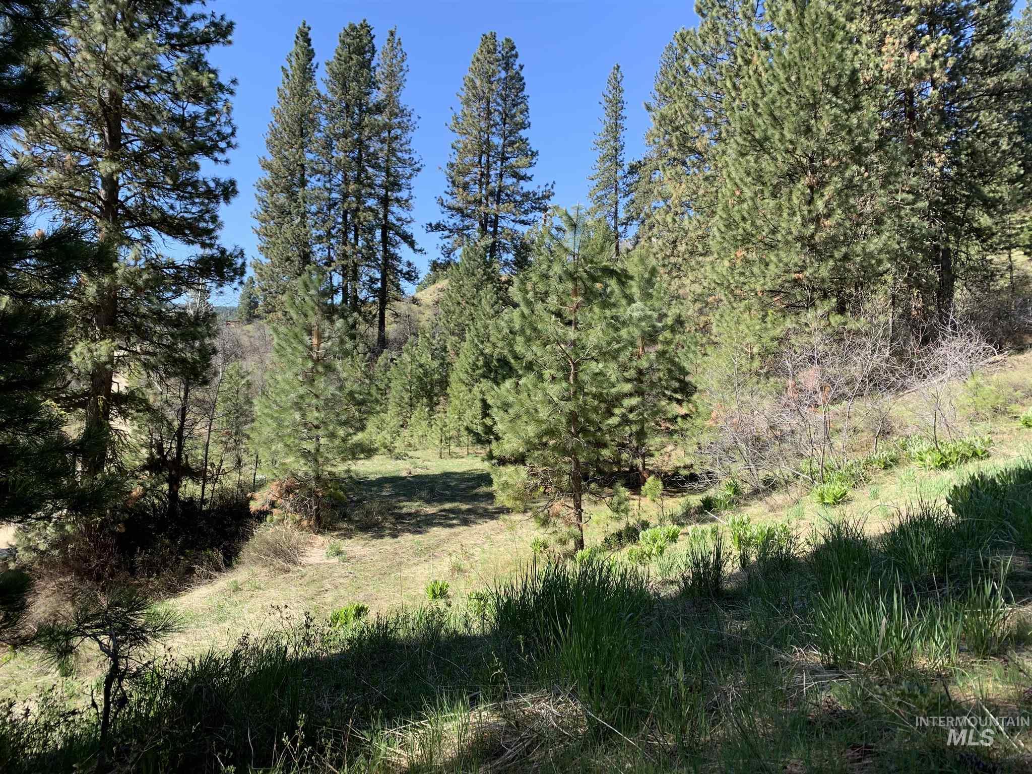 LOT 53 Pine Heights Drive, Boise, Idaho 83716, Land For Sale, Price $164,000, 98976908