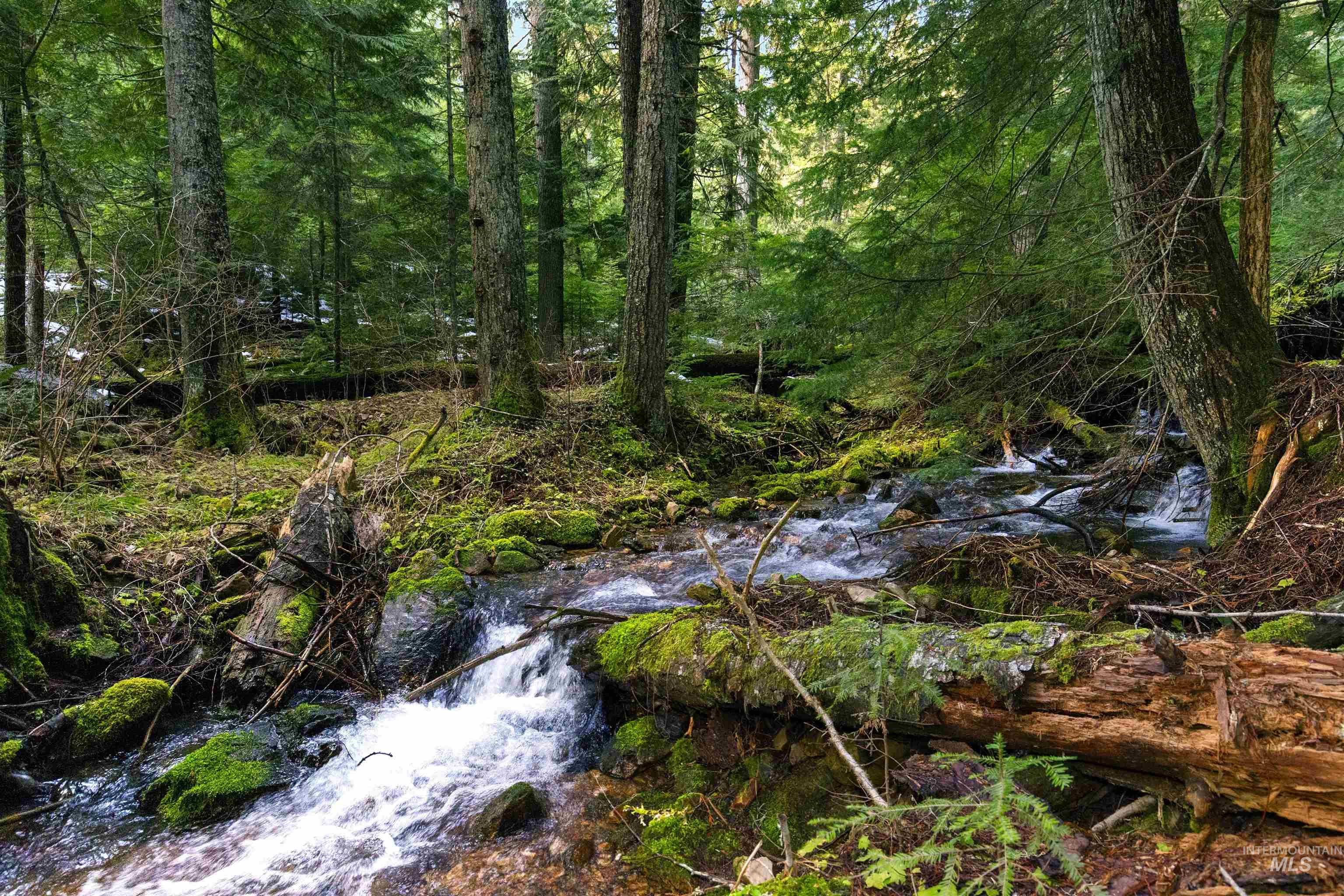 NKA Philips Draw Rd., St. Maries, Idaho 83861, Land For Sale, Price $349,900,MLS 98976917