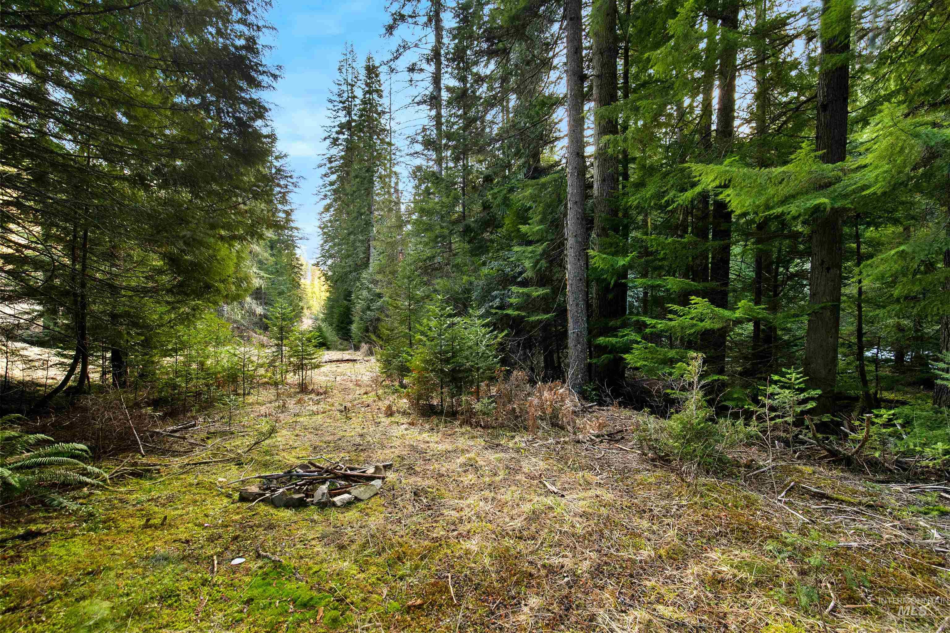 NKA Philips Draw Rd., St. Maries, Idaho 83861, Land For Sale, Price $349,900,MLS 98976917