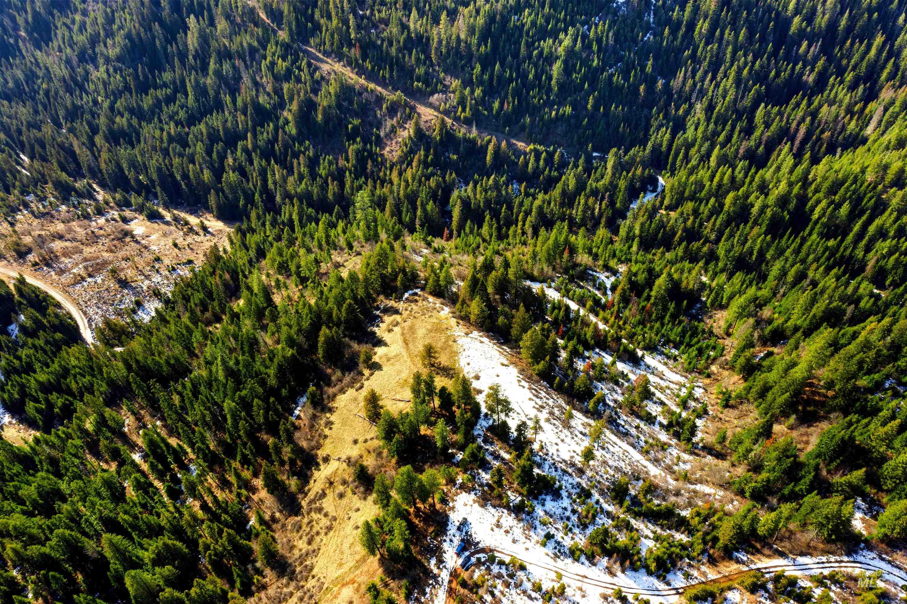 NKA Philips Draw Rd., St. Maries, Idaho 83861, Land For Sale, Price $349,900,MLS 98976917