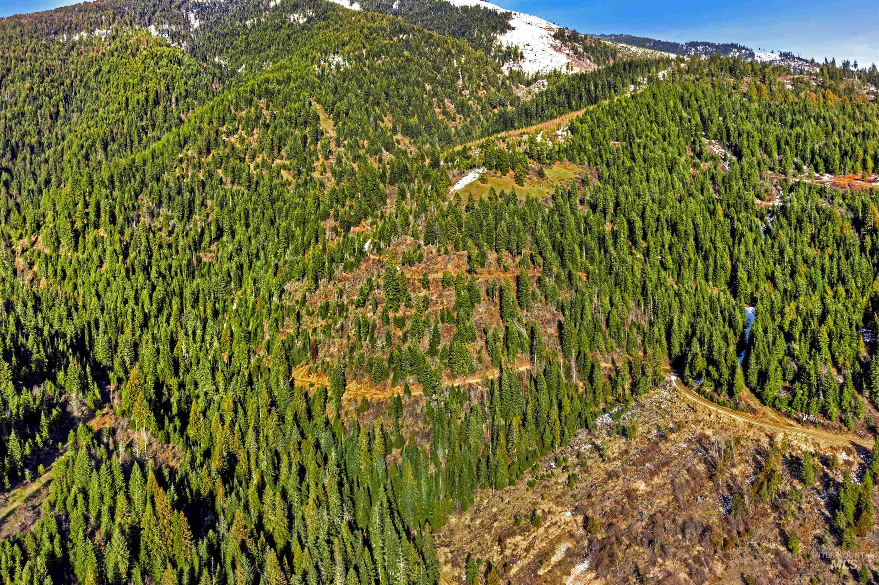 NKA Philips Draw Rd., St. Maries, Idaho 83861, Land For Sale, Price $349,900,MLS 98976917