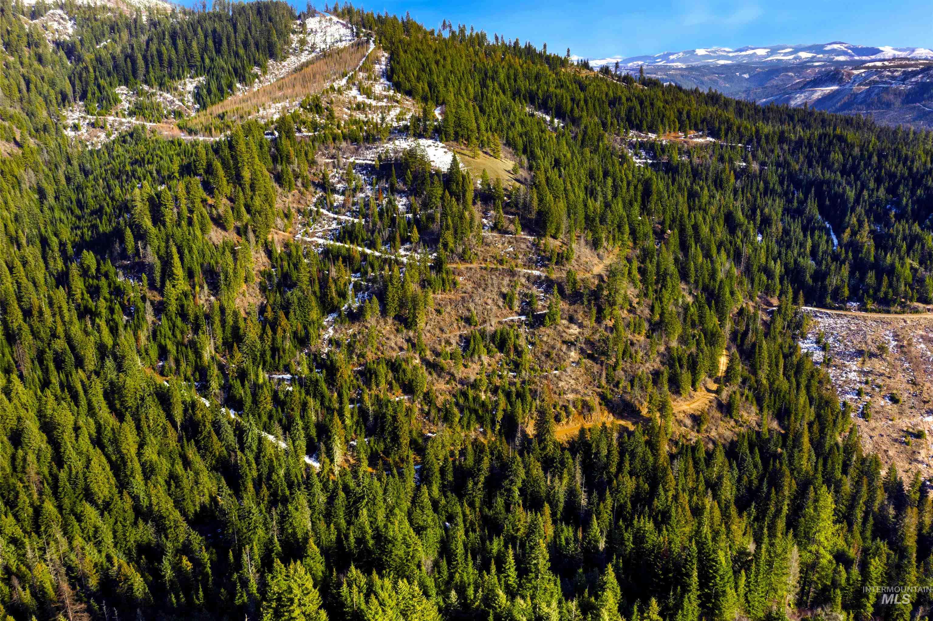 NKA Philips Draw Rd., St. Maries, Idaho 83861, Land For Sale, Price $349,900,MLS 98976917