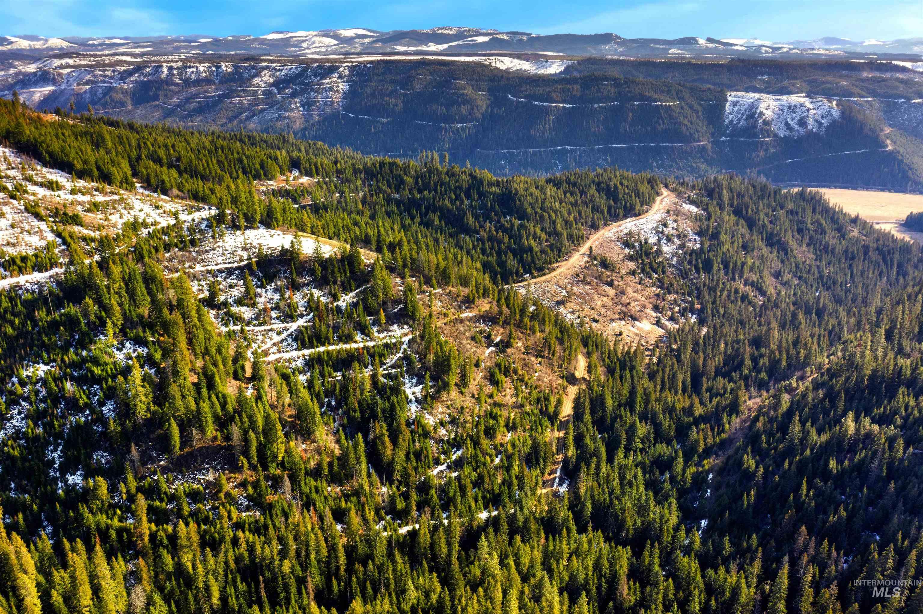 NKA Philips Draw Rd., St. Maries, Idaho 83861, Land For Sale, Price $349,900,MLS 98976917