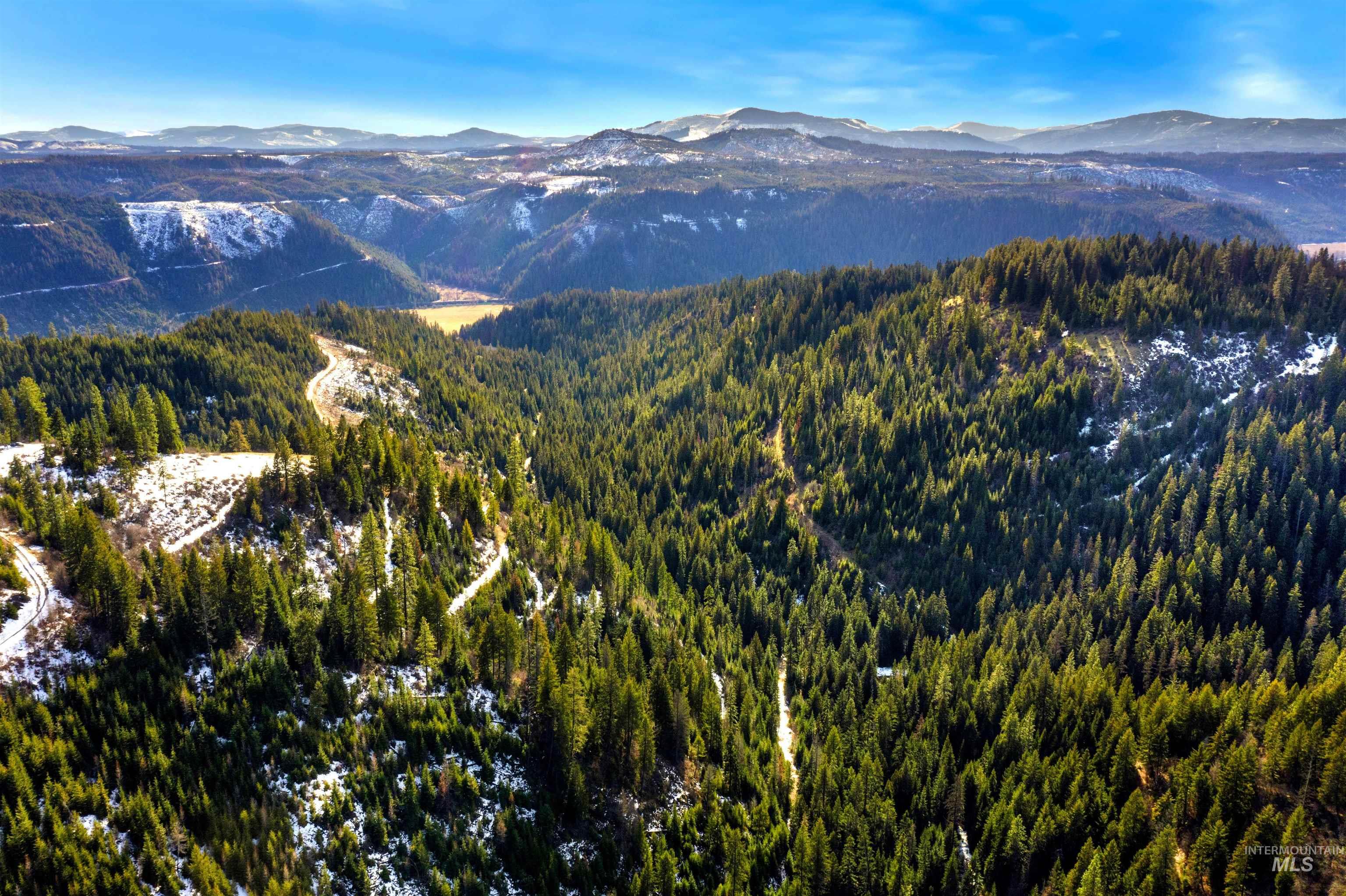 NKA Philips Draw Rd., St. Maries, Idaho 83861, Land For Sale, Price $349,900,MLS 98976917