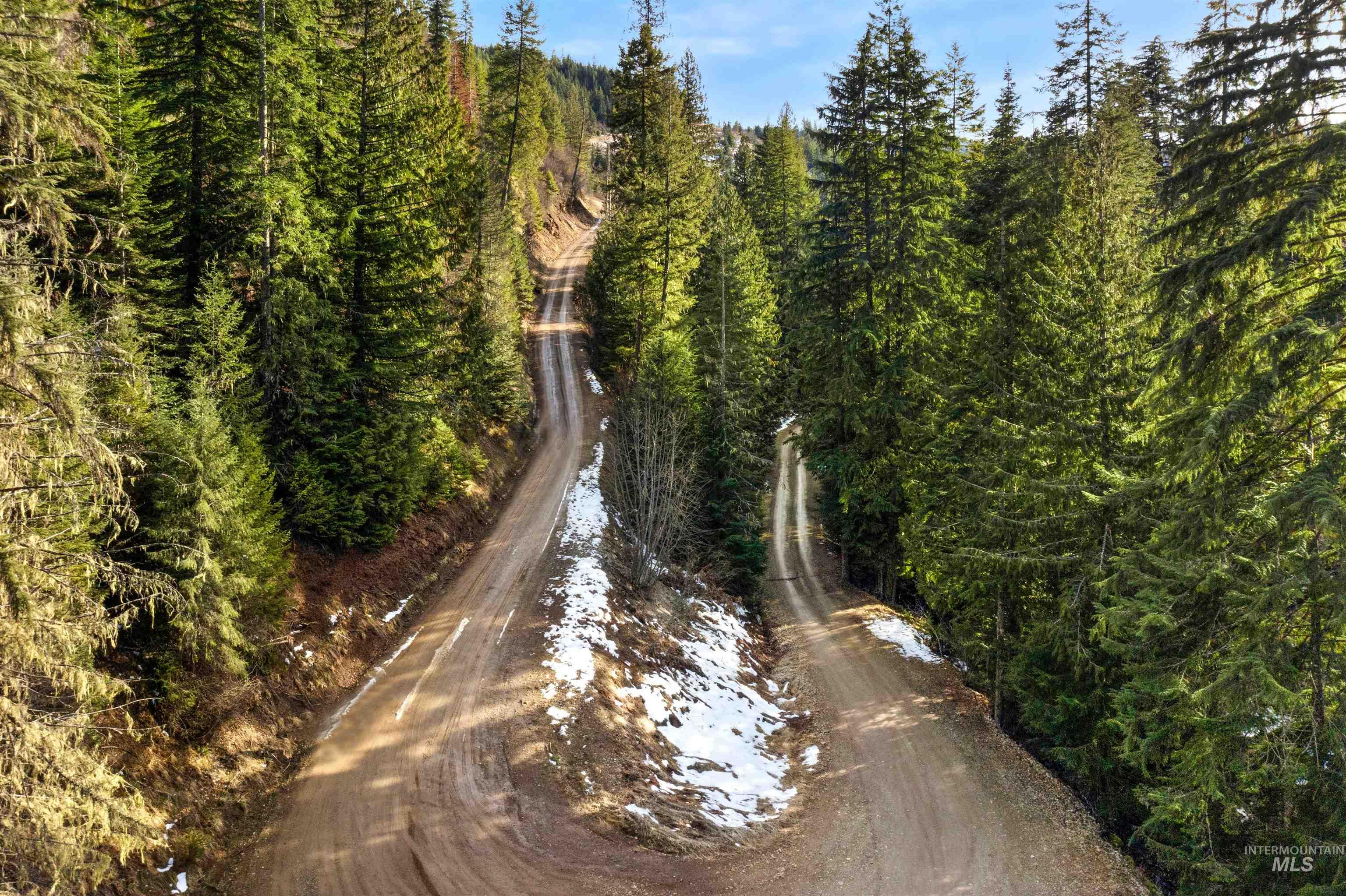 NKA Philips Draw Rd., St. Maries, Idaho 83861, Land For Sale, Price $349,900,MLS 98976917