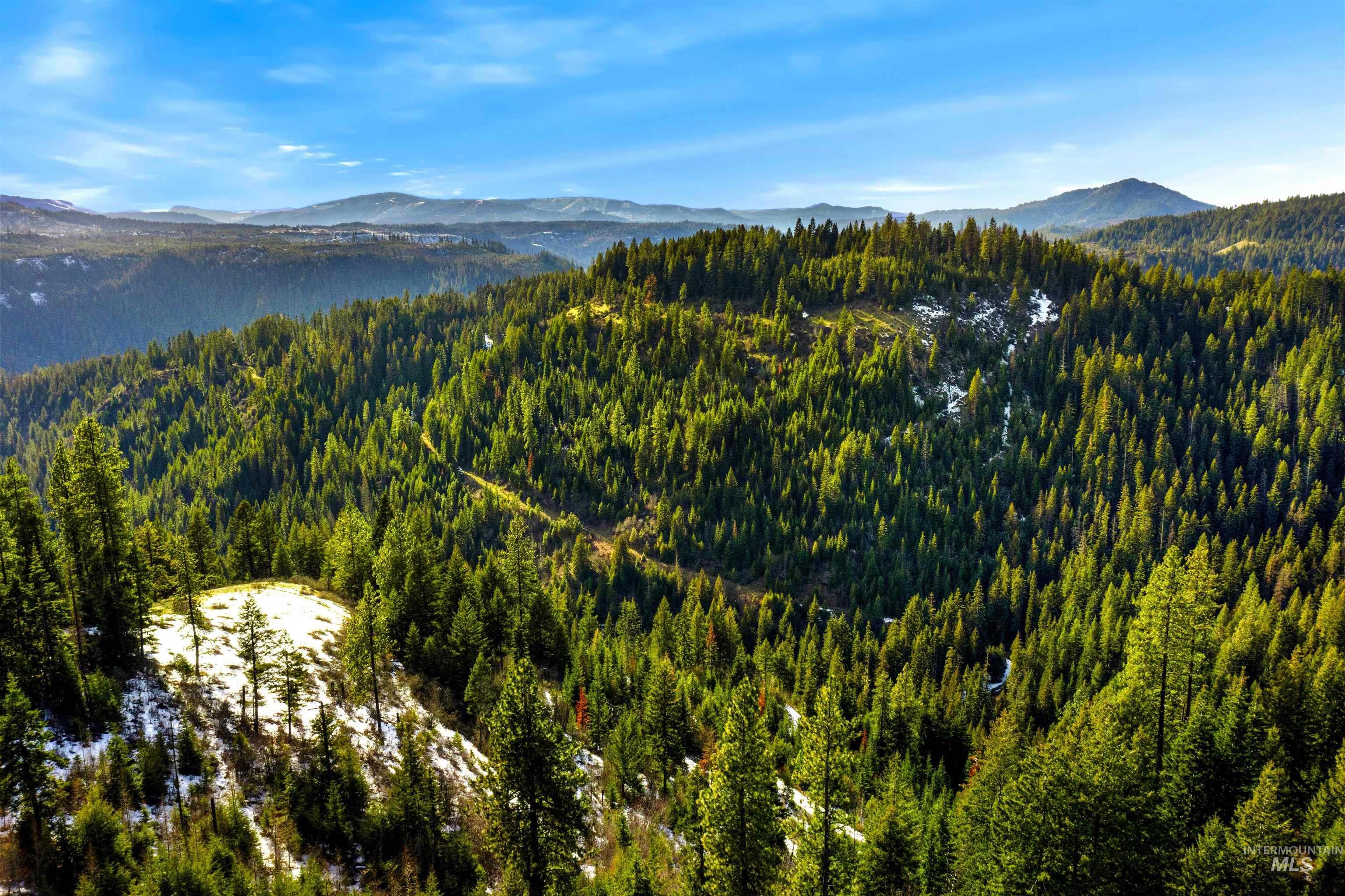 NKA Philips Draw Rd., St. Maries, Idaho 83861, Land For Sale, Price $349,900,MLS 98976917