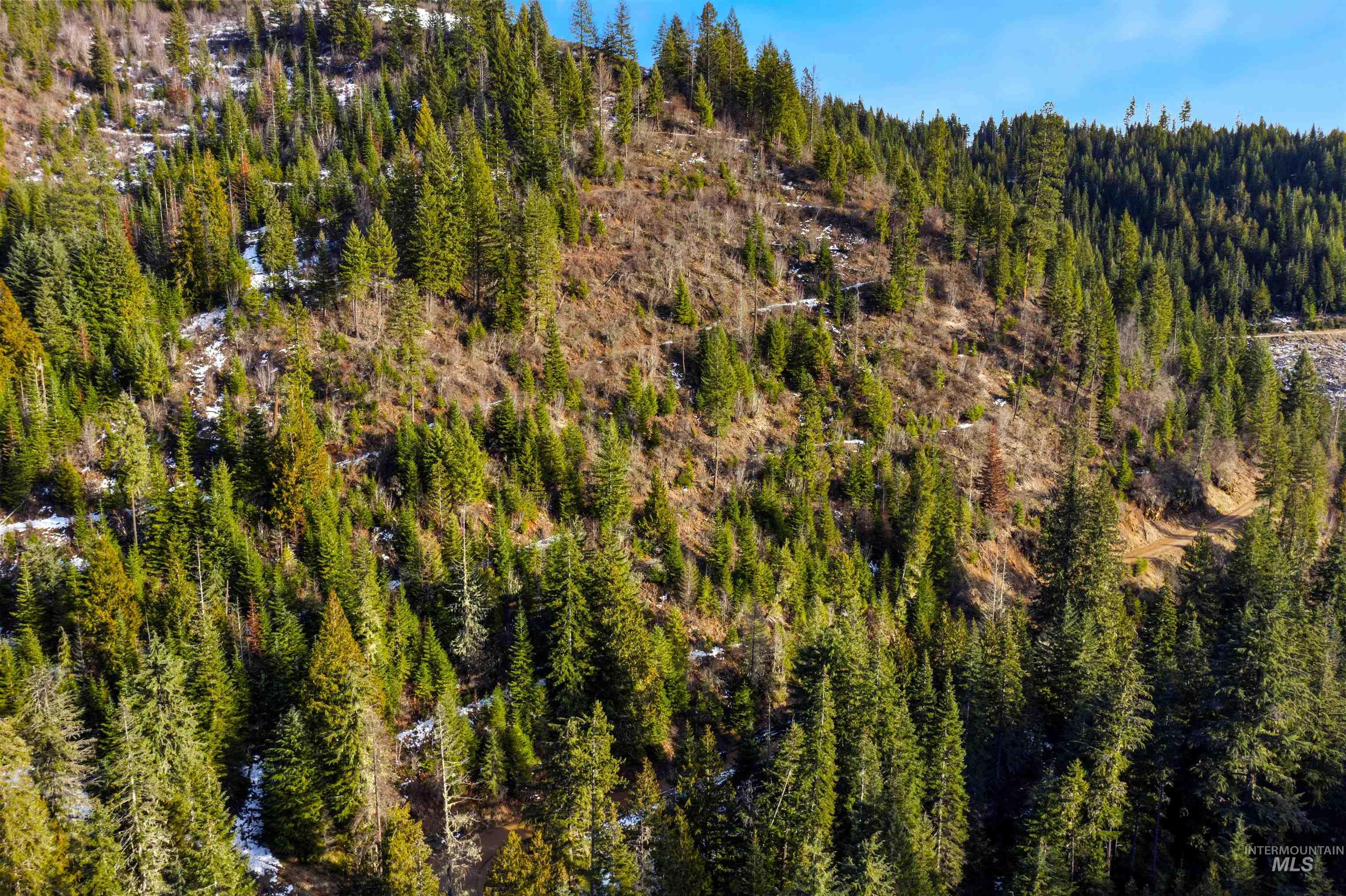 NKA Philips Draw Rd., St. Maries, Idaho 83861, Land For Sale, Price $349,900,MLS 98976917